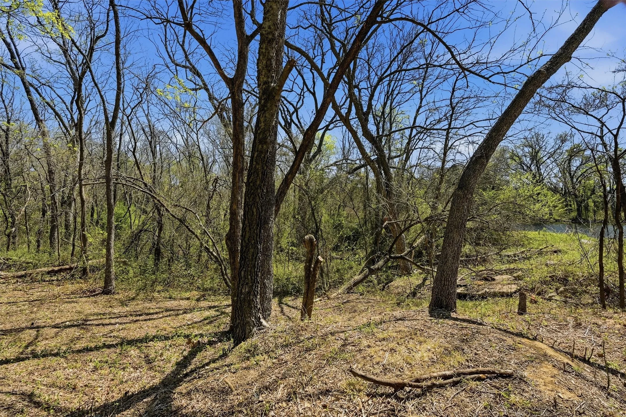 Unimproved Land For Sale in Grayson County , Lot 14 Lauren Ln., Pottsboro, Texas 75076, 0, 0, Garage spaces, 0 Sqft, built in 0, mls#21217582, Real Estate Agent in Pottsboro, Homes For Sale in Grayson county, Homes For Sale in Pottsboro, Realtor in Pottsboro Texas, Real Estate Brokerage Independent Realty Texas, Luminita Cordes Realtor
