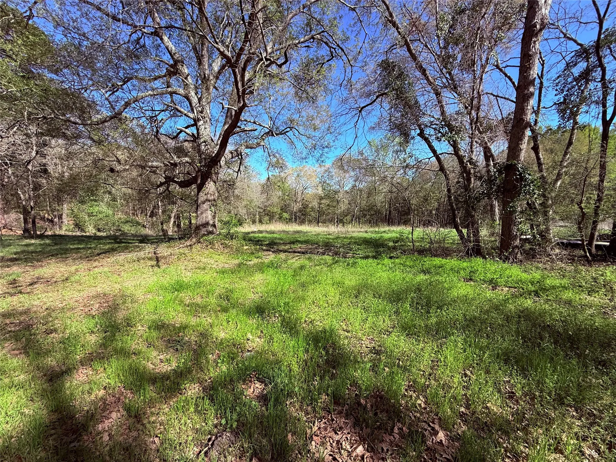 Improved Land For Sale in Wood County , 3842 N State Highway 37, Quitman, Texas 75783, 0, 0, Garage spaces, 0 Sqft, built in 0, mls#21218342, Real Estate Agent in Quitman, Homes For Sale in Wood county, Homes For Sale in Quitman, Realtor in Quitman Texas, Real Estate Brokerage Independent Realty Texas, Luminita Cordes Realtor