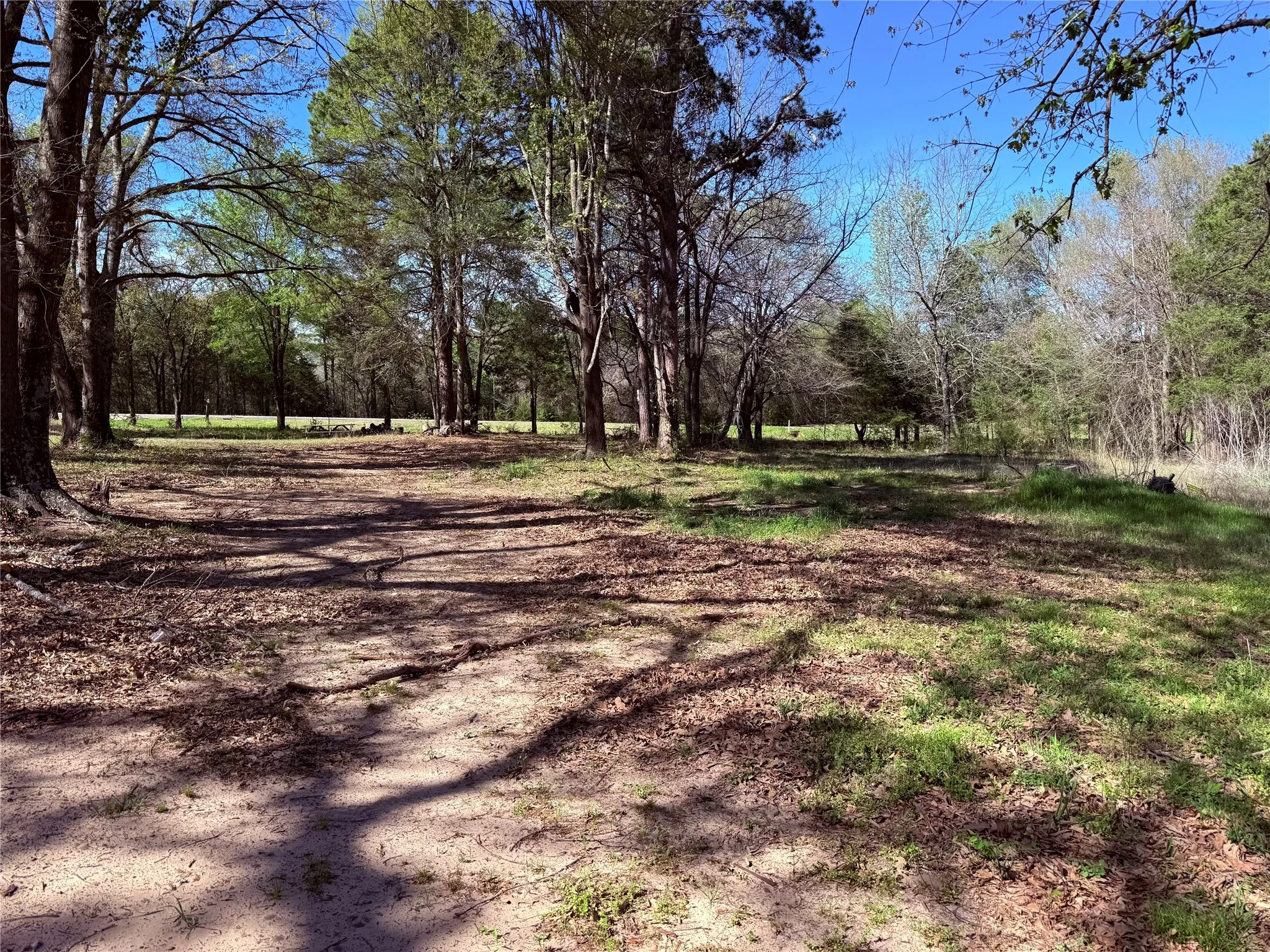Improved Land For Sale in Wood County , 3842 N State Highway 37, Quitman, Texas 75783, 0, 0, Garage spaces, 0 Sqft, built in 0, mls#21218342, Real Estate Agent in Quitman, Homes For Sale in Wood county, Homes For Sale in Quitman, Realtor in Quitman Texas, Real Estate Brokerage Independent Realty Texas, Luminita Cordes Realtor