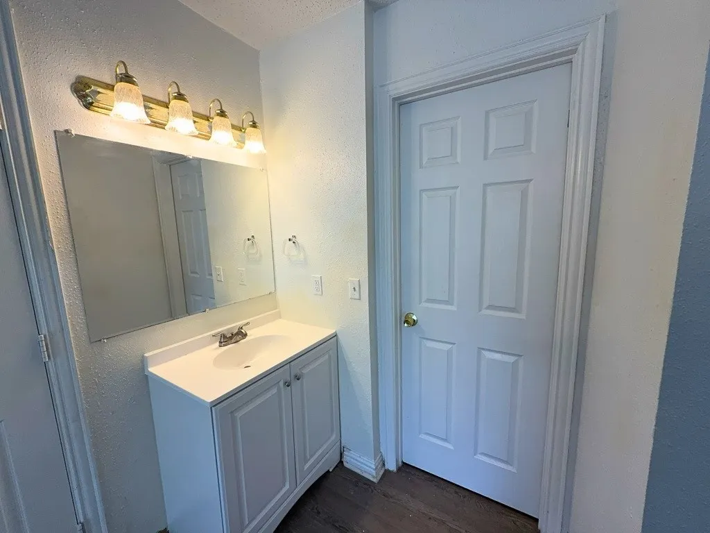 Primary bathroom vanity