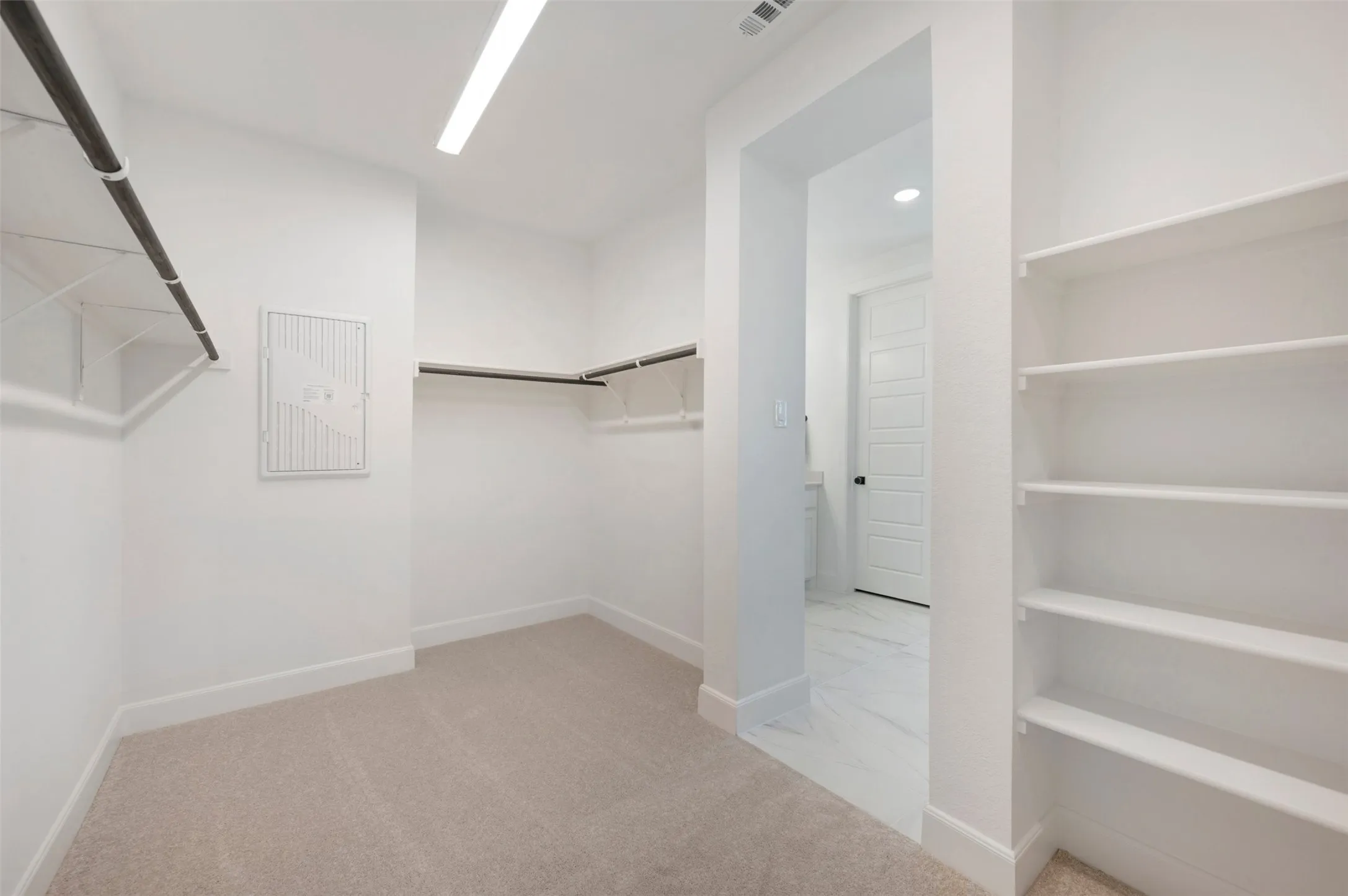Spacious walk-in closet featuring carpet flooring, built-in shelving, and hanging rods