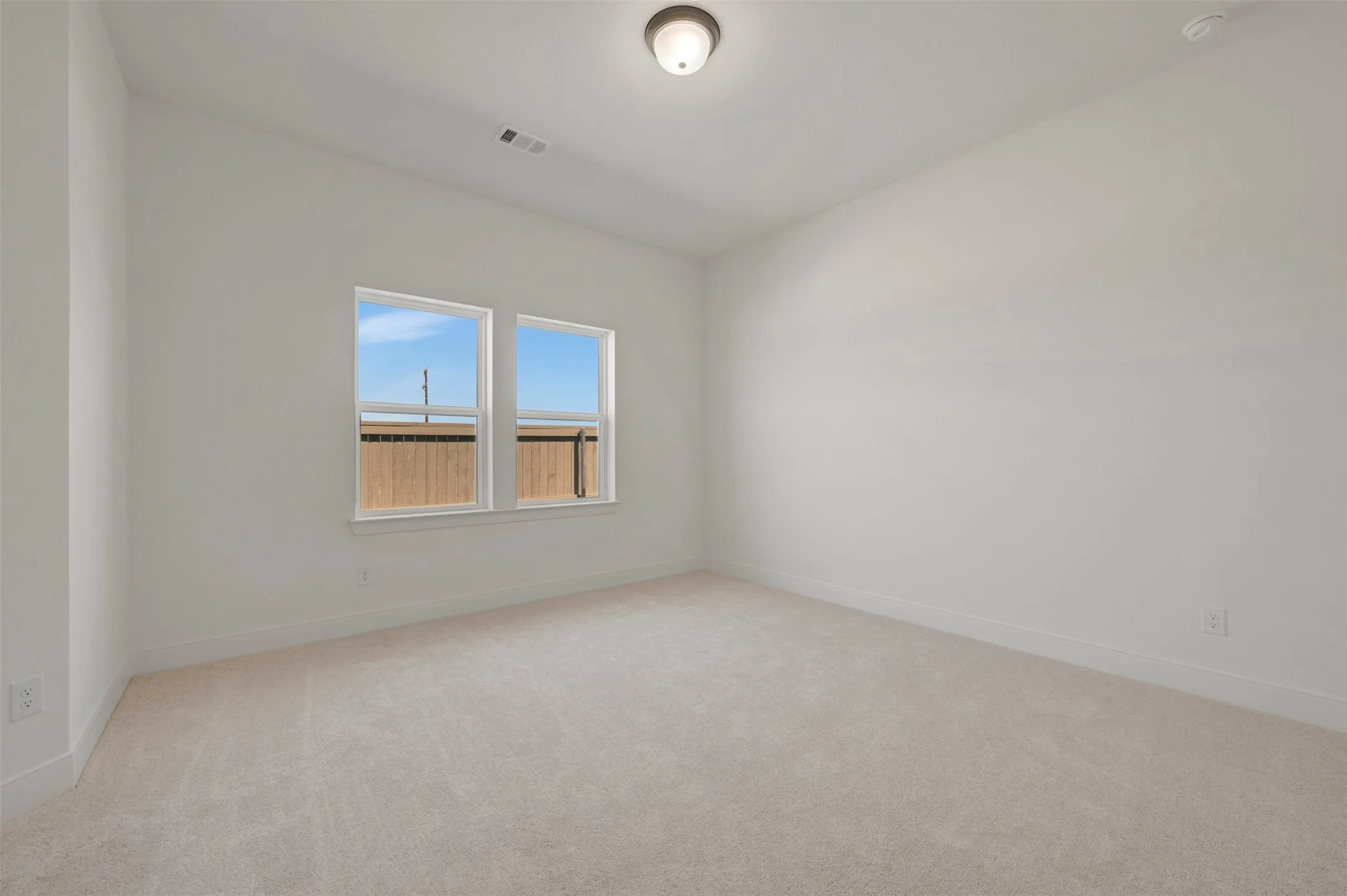 Room featuring light-toned carpet flooring, two rectangular windows, and a flush-mount ceiling light fixture