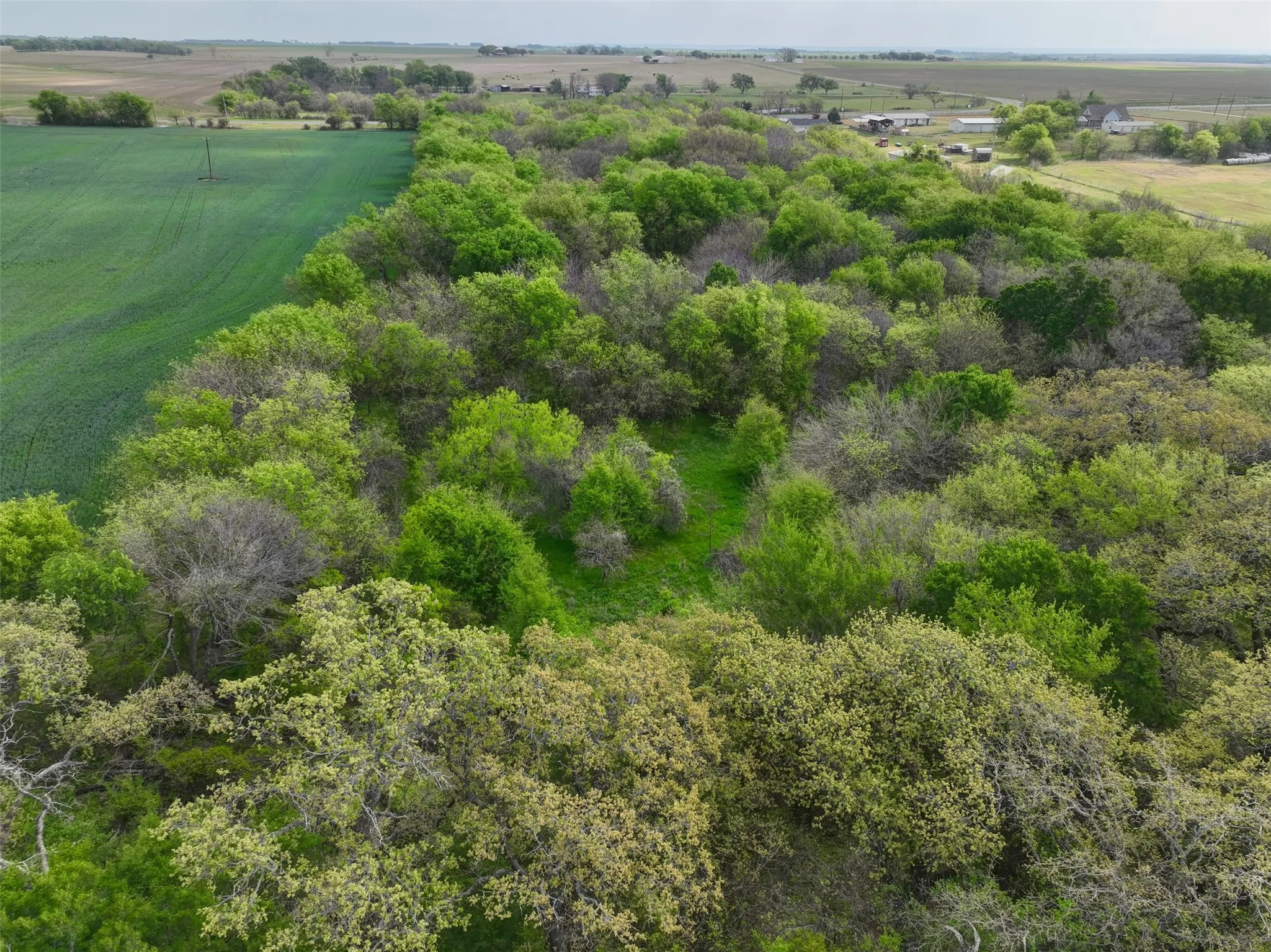 Unimproved Land For Sale in Hill County , 171 HCR 1450 N, Covington, Texas 76636, 0, 0, Garage spaces, 0 Sqft, built in 0, mls#21219028, Real Estate Agent in Covington, Homes For Sale in Hill county, Homes For Sale in Covington, Realtor in Covington Texas, Real Estate Brokerage Independent Realty Texas, Luminita Cordes Realtor