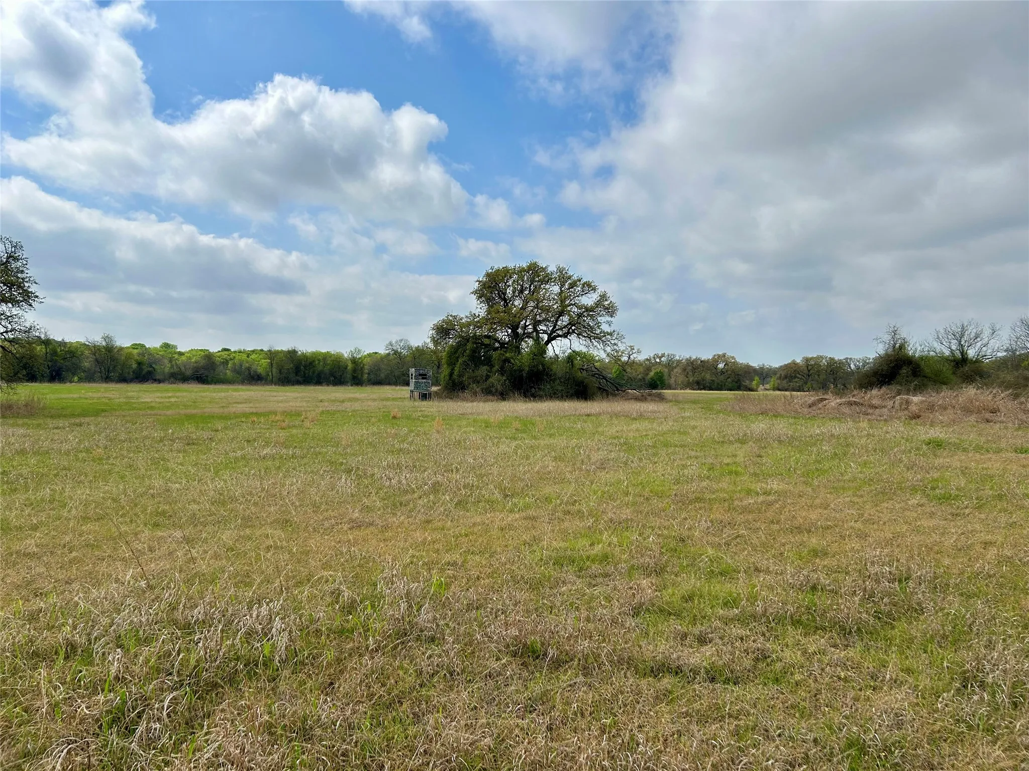 Unimproved Land For Sale in Hill County , 171 HCR 1450 N, Covington, Texas 76636, 0, 0, Garage spaces, 0 Sqft, built in 0, mls#21219028, Real Estate Agent in Covington, Homes For Sale in Hill county, Homes For Sale in Covington, Realtor in Covington Texas, Real Estate Brokerage Independent Realty Texas, Luminita Cordes Realtor