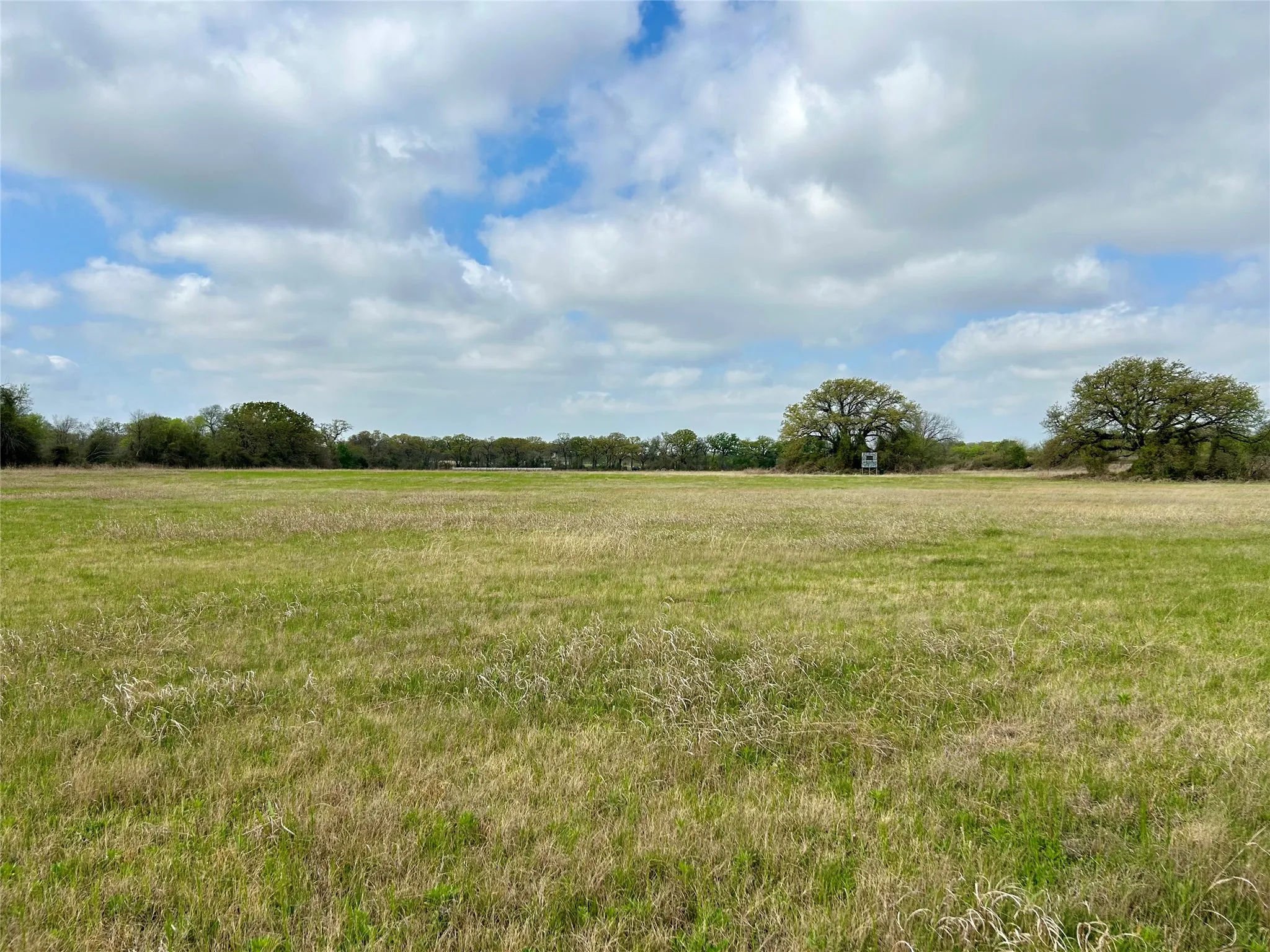 Unimproved Land For Sale in Hill County , 171 HCR 1450 N, Covington, Texas 76636, 0, 0, Garage spaces, 0 Sqft, built in 0, mls#21219028, Real Estate Agent in Covington, Homes For Sale in Hill county, Homes For Sale in Covington, Realtor in Covington Texas, Real Estate Brokerage Independent Realty Texas, Luminita Cordes Realtor