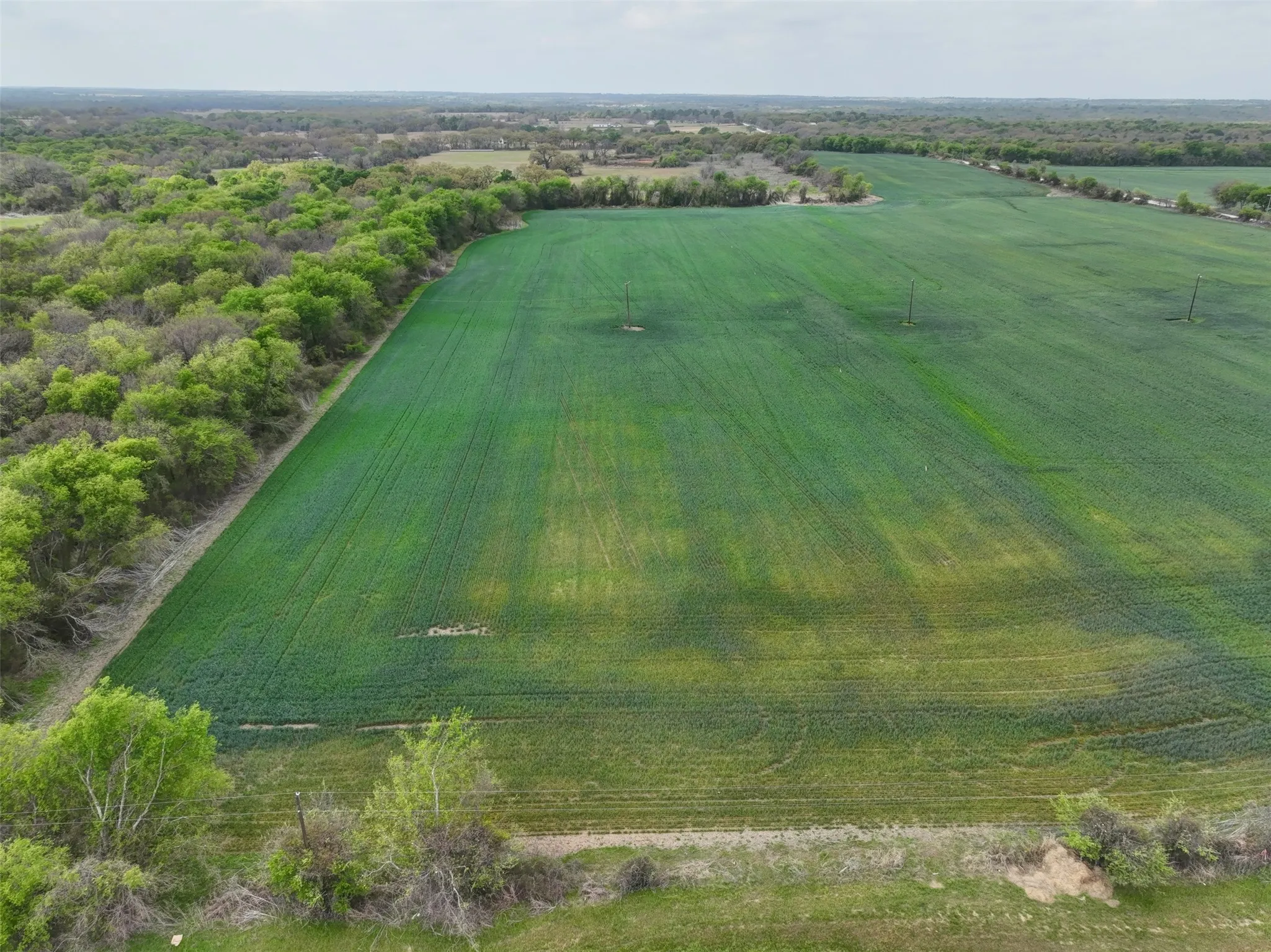 Unimproved Land For Sale in Hill County , 171 HCR 1450 N, Covington, Texas 76636, 0, 0, Garage spaces, 0 Sqft, built in 0, mls#21219028, Real Estate Agent in Covington, Homes For Sale in Hill county, Homes For Sale in Covington, Realtor in Covington Texas, Real Estate Brokerage Independent Realty Texas, Luminita Cordes Realtor