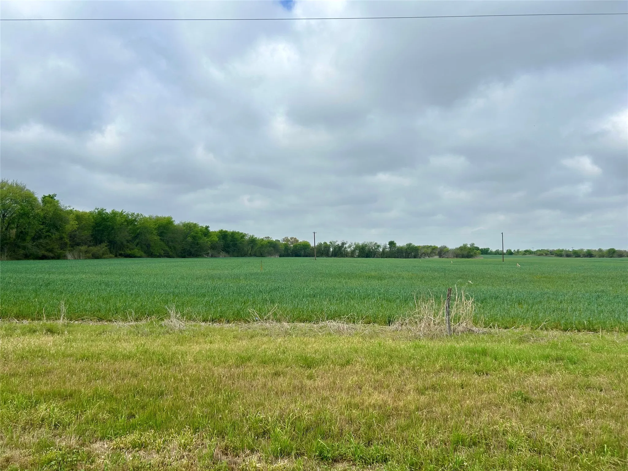 Unimproved Land For Sale in Hill County , 171 HCR 1450 N, Covington, Texas 76636, 0, 0, Garage spaces, 0 Sqft, built in 0, mls#21219028, Real Estate Agent in Covington, Homes For Sale in Hill county, Homes For Sale in Covington, Realtor in Covington Texas, Real Estate Brokerage Independent Realty Texas, Luminita Cordes Realtor