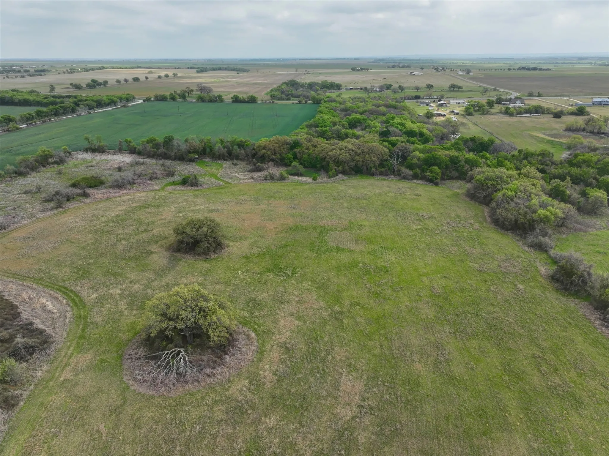 Unimproved Land For Sale in Hill County , 171 HCR 1450 N, Covington, Texas 76636, 0, 0, Garage spaces, 0 Sqft, built in 0, mls#21219028, Real Estate Agent in Covington, Homes For Sale in Hill county, Homes For Sale in Covington, Realtor in Covington Texas, Real Estate Brokerage Independent Realty Texas, Luminita Cordes Realtor