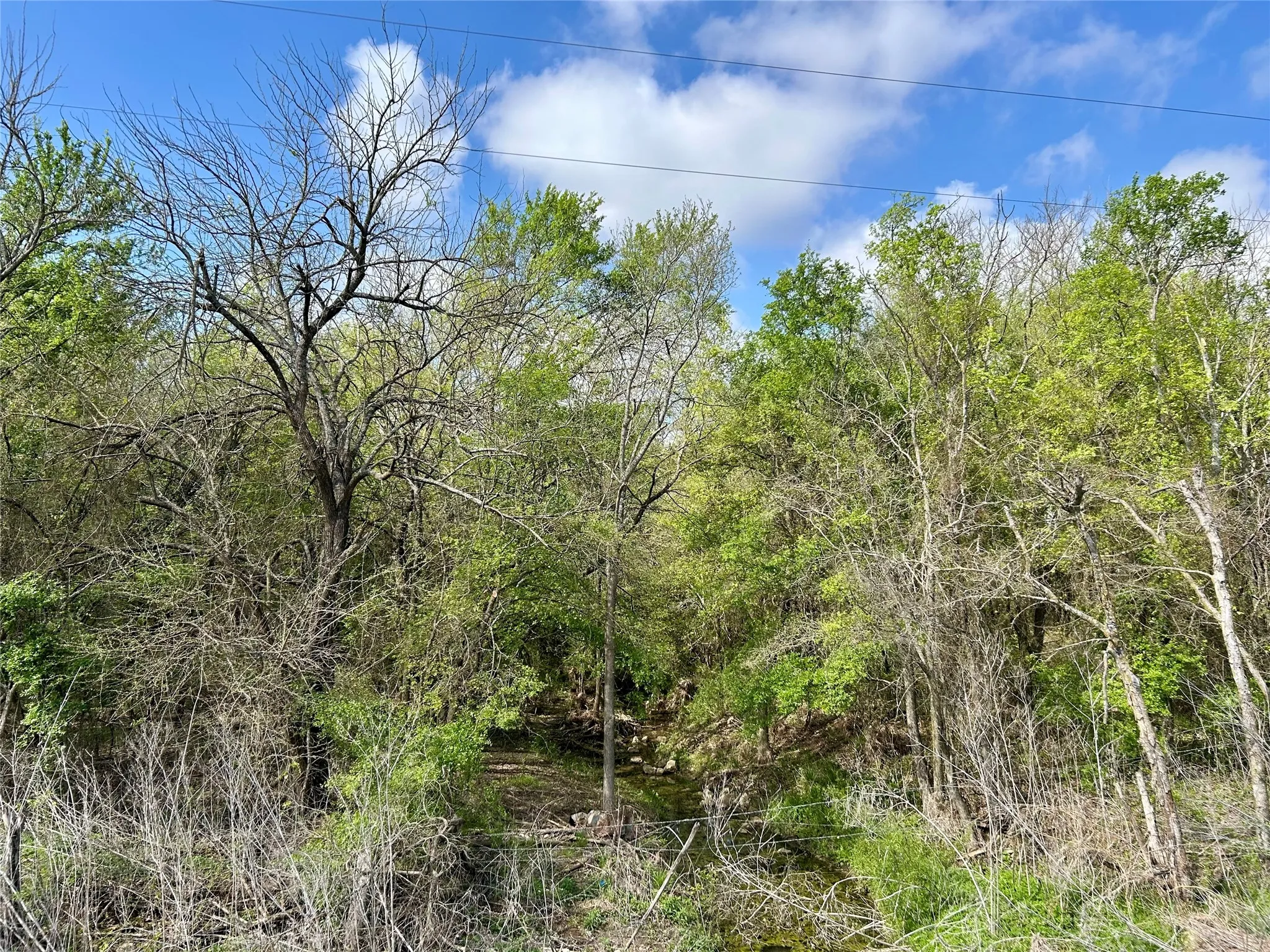 Unimproved Land For Sale in Hill County , 171 HCR 1450 N, Covington, Texas 76636, 0, 0, Garage spaces, 0 Sqft, built in 0, mls#21219028, Real Estate Agent in Covington, Homes For Sale in Hill county, Homes For Sale in Covington, Realtor in Covington Texas, Real Estate Brokerage Independent Realty Texas, Luminita Cordes Realtor
