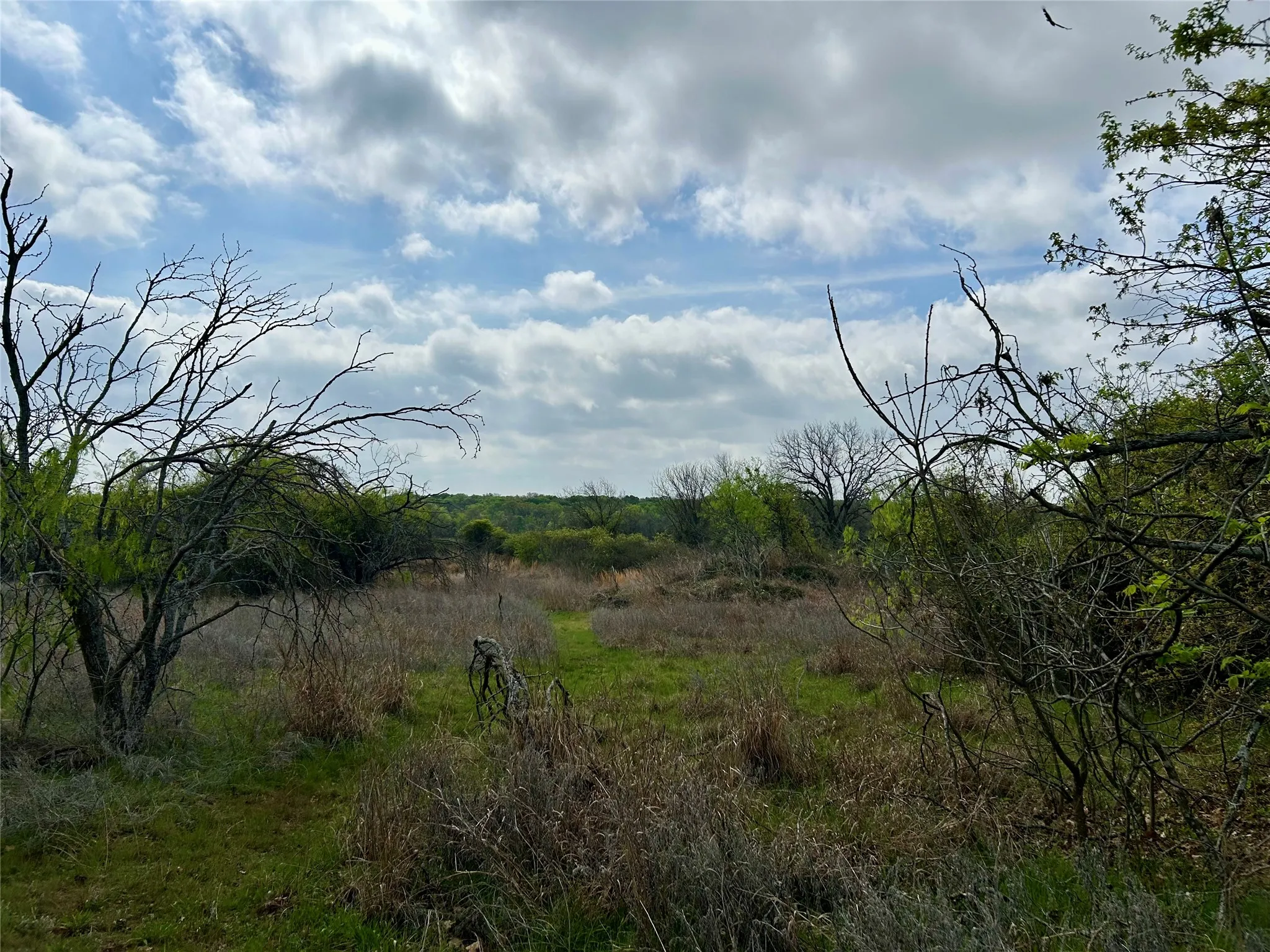 Unimproved Land For Sale in Hill County , 171 HCR 1450 N, Covington, Texas 76636, 0, 0, Garage spaces, 0 Sqft, built in 0, mls#21219028, Real Estate Agent in Covington, Homes For Sale in Hill county, Homes For Sale in Covington, Realtor in Covington Texas, Real Estate Brokerage Independent Realty Texas, Luminita Cordes Realtor