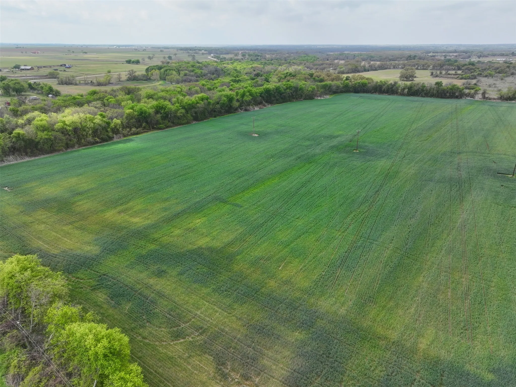 Unimproved Land For Sale in Hill County , 171 HCR 1450 N, Covington, Texas 76636, 0, 0, Garage spaces, 0 Sqft, built in 0, mls#21219028, Real Estate Agent in Covington, Homes For Sale in Hill county, Homes For Sale in Covington, Realtor in Covington Texas, Real Estate Brokerage Independent Realty Texas, Luminita Cordes Realtor