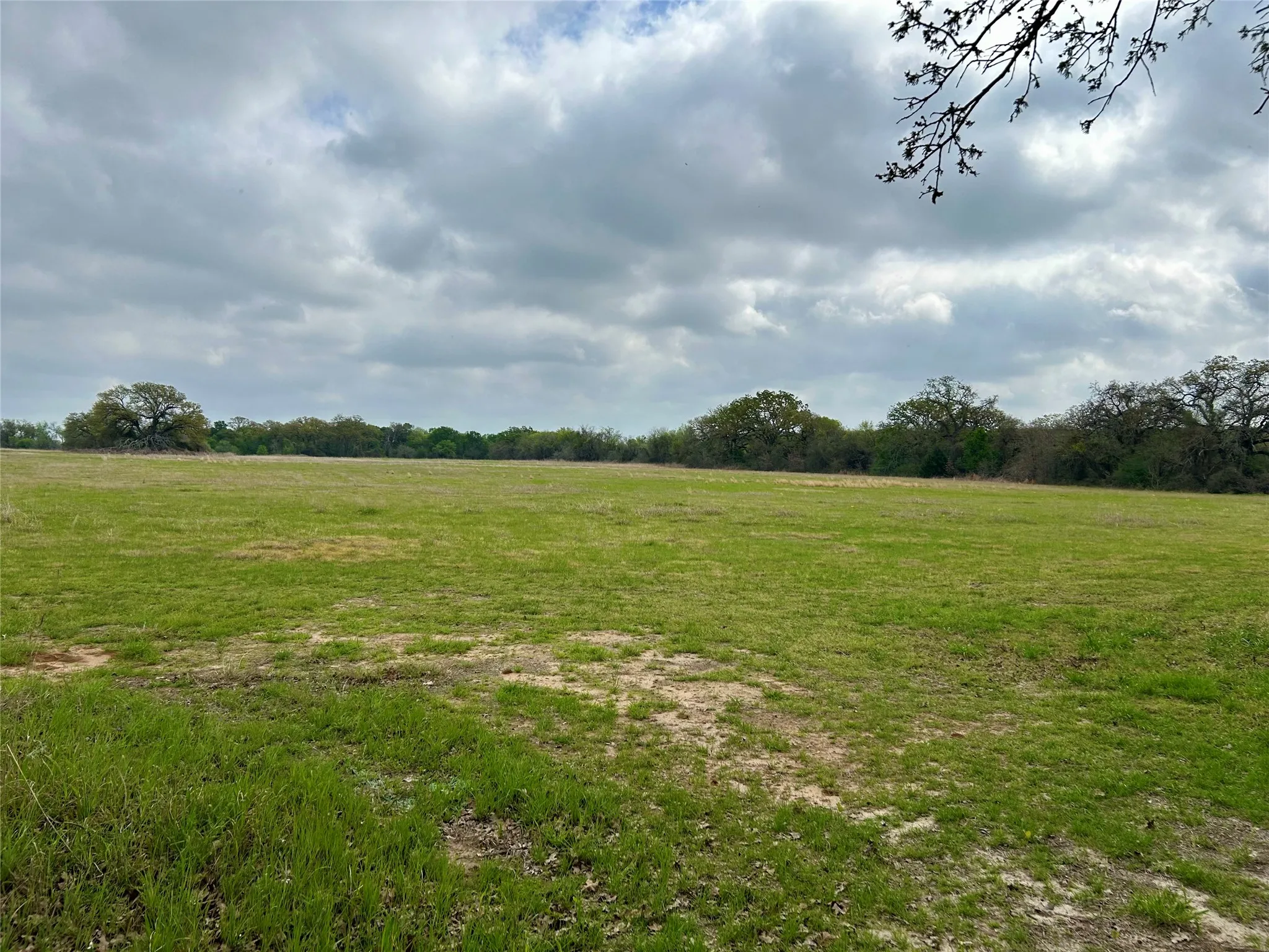 Unimproved Land For Sale in Hill County , 171 HCR 1450 N, Covington, Texas 76636, 0, 0, Garage spaces, 0 Sqft, built in 0, mls#21219028, Real Estate Agent in Covington, Homes For Sale in Hill county, Homes For Sale in Covington, Realtor in Covington Texas, Real Estate Brokerage Independent Realty Texas, Luminita Cordes Realtor