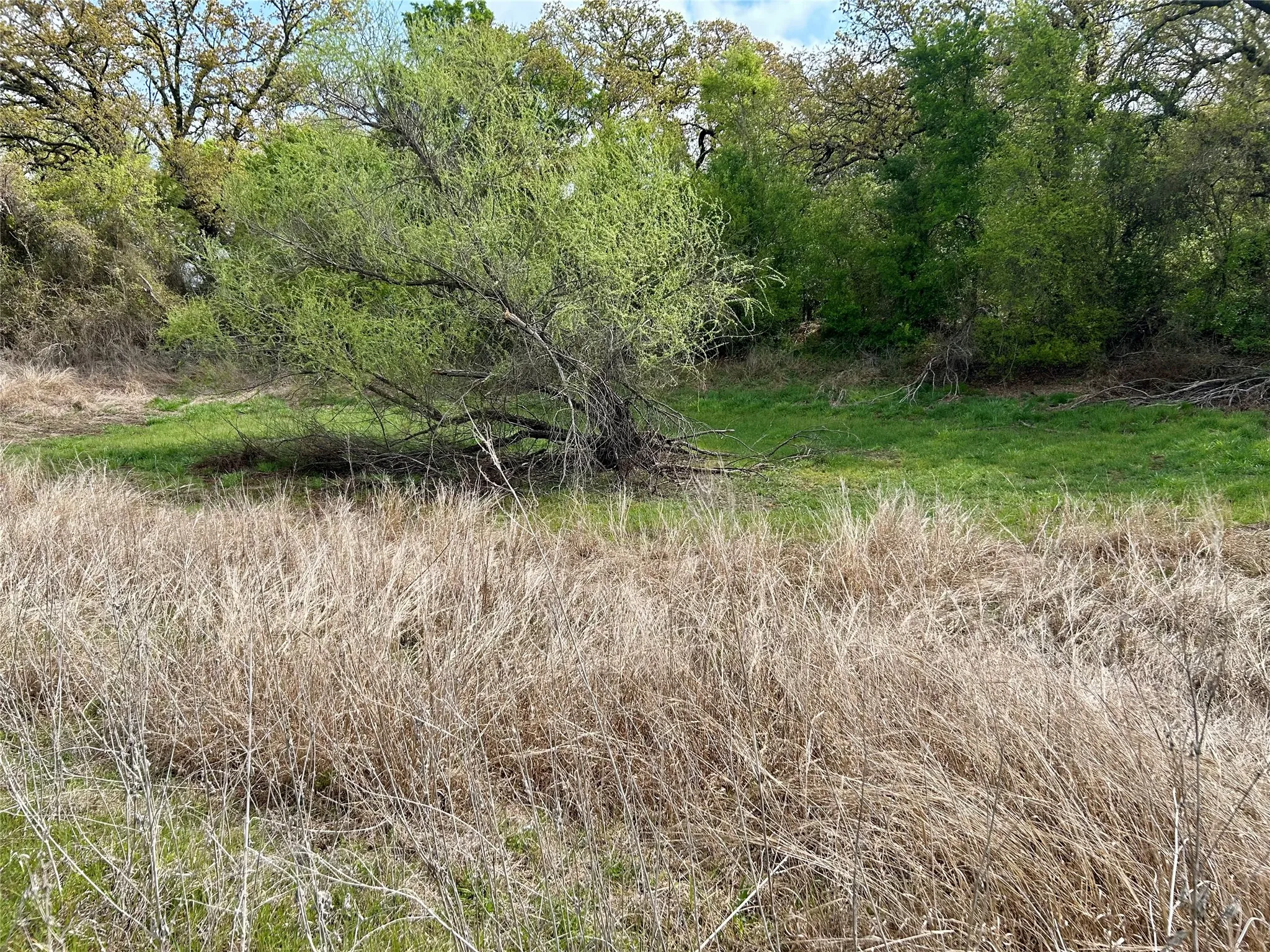 Unimproved Land For Sale in Hill County , 171 HCR 1450 N, Covington, Texas 76636, 0, 0, Garage spaces, 0 Sqft, built in 0, mls#21219028, Real Estate Agent in Covington, Homes For Sale in Hill county, Homes For Sale in Covington, Realtor in Covington Texas, Real Estate Brokerage Independent Realty Texas, Luminita Cordes Realtor