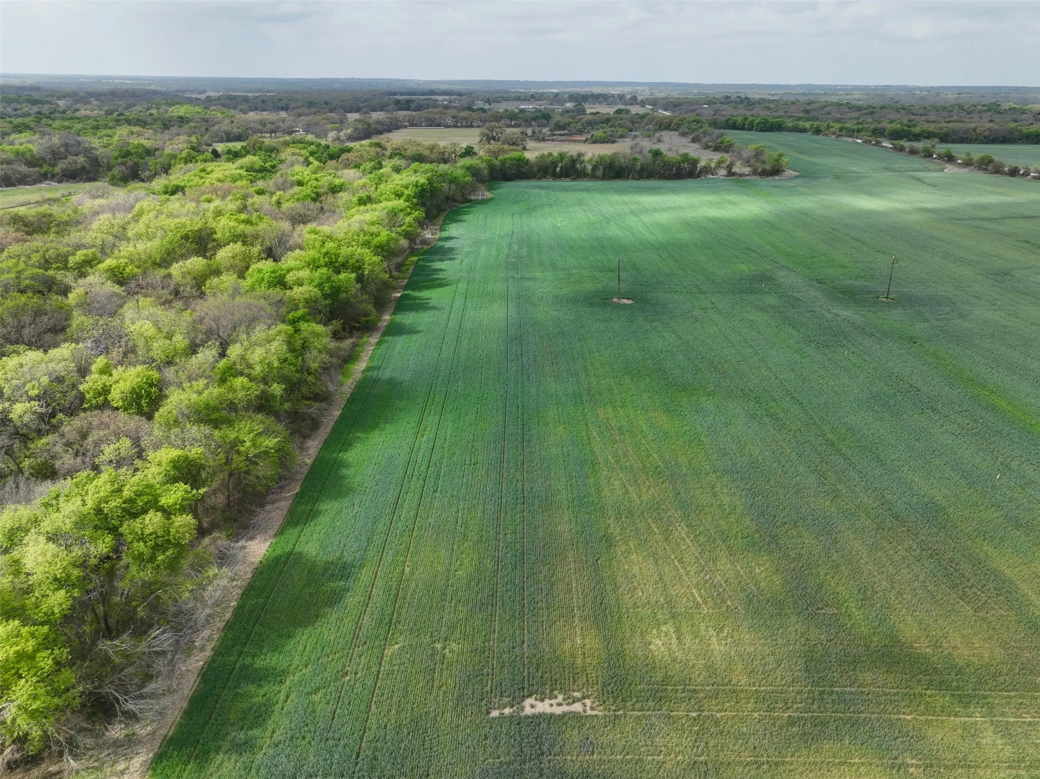 Unimproved Land For Sale in Hill County , 171 HCR 1450 N, Covington, Texas 76636, 0, 0, Garage spaces, 0 Sqft, built in 0, mls#21219028, Real Estate Agent in Covington, Homes For Sale in Hill county, Homes For Sale in Covington, Realtor in Covington Texas, Real Estate Brokerage Independent Realty Texas, Luminita Cordes Realtor