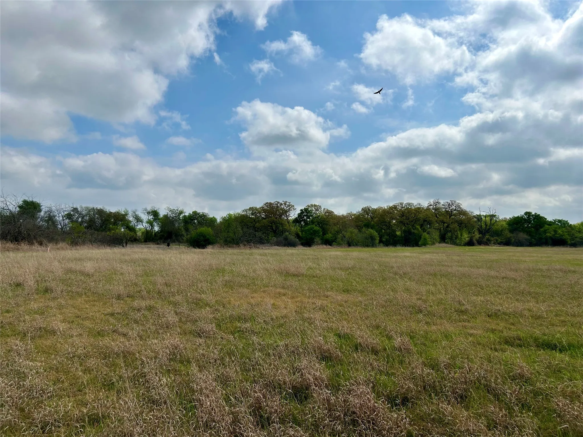 Unimproved Land For Sale in Hill County , 171 HCR 1450 N, Covington, Texas 76636, 0, 0, Garage spaces, 0 Sqft, built in 0, mls#21219028, Real Estate Agent in Covington, Homes For Sale in Hill county, Homes For Sale in Covington, Realtor in Covington Texas, Real Estate Brokerage Independent Realty Texas, Luminita Cordes Realtor