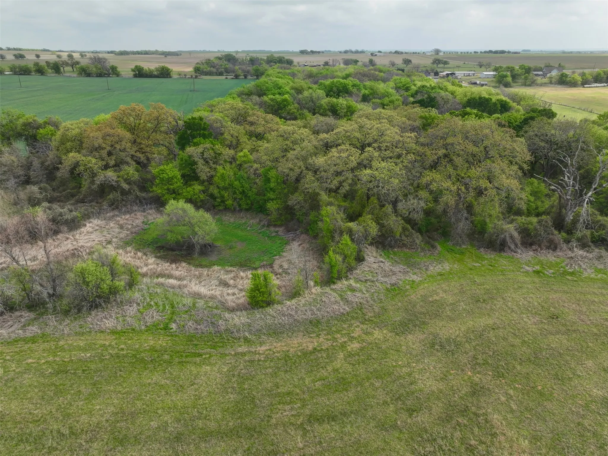 Unimproved Land For Sale in Hill County , 171 HCR 1450 N, Covington, Texas 76636, 0, 0, Garage spaces, 0 Sqft, built in 0, mls#21219028, Real Estate Agent in Covington, Homes For Sale in Hill county, Homes For Sale in Covington, Realtor in Covington Texas, Real Estate Brokerage Independent Realty Texas, Luminita Cordes Realtor