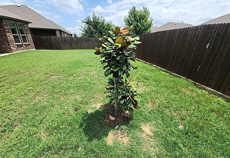 Single Family Residence For Sale in Denton County , 11132 Canyon Oak Street, Aubrey, Texas 76227, 3 Bedroom, 2 Bathroom, 2 Garage spaces, 1,633 Sqft, built in 2022, Preowned, mls#21219115, Real Estate Agent in Aubrey, Homes For Sale in Denton county, Homes For Sale in Aubrey, Realtor in Aubrey Texas, Real Estate Brokerage Independent Realty Texas, Luminita Cordes Realtor