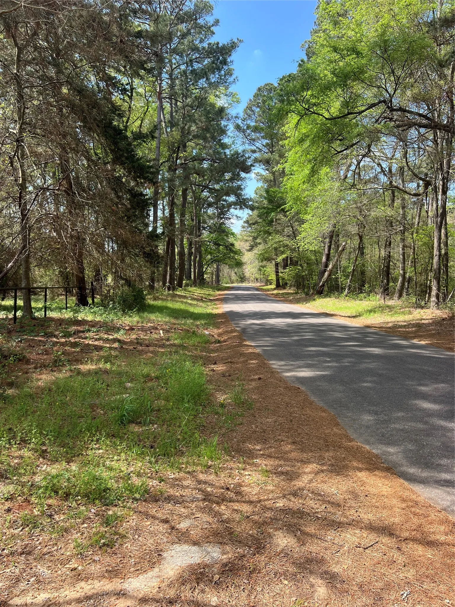 Unimproved Land For Sale in Cherokee County , 0 CR 3908, Jacksonville, Texas 75766, 0, 0, Garage spaces, 0 Sqft, built in 0, Price $819,000, mls#21219076, Real Estate Agent in Jacksonville, Homes For Sale in Cherokee county, Homes For Sale in Jacksonville, Realtor in Jacksonville Texas, Real Estate Brokerage Independent Realty Texas, Luminita Cordes Realtor
