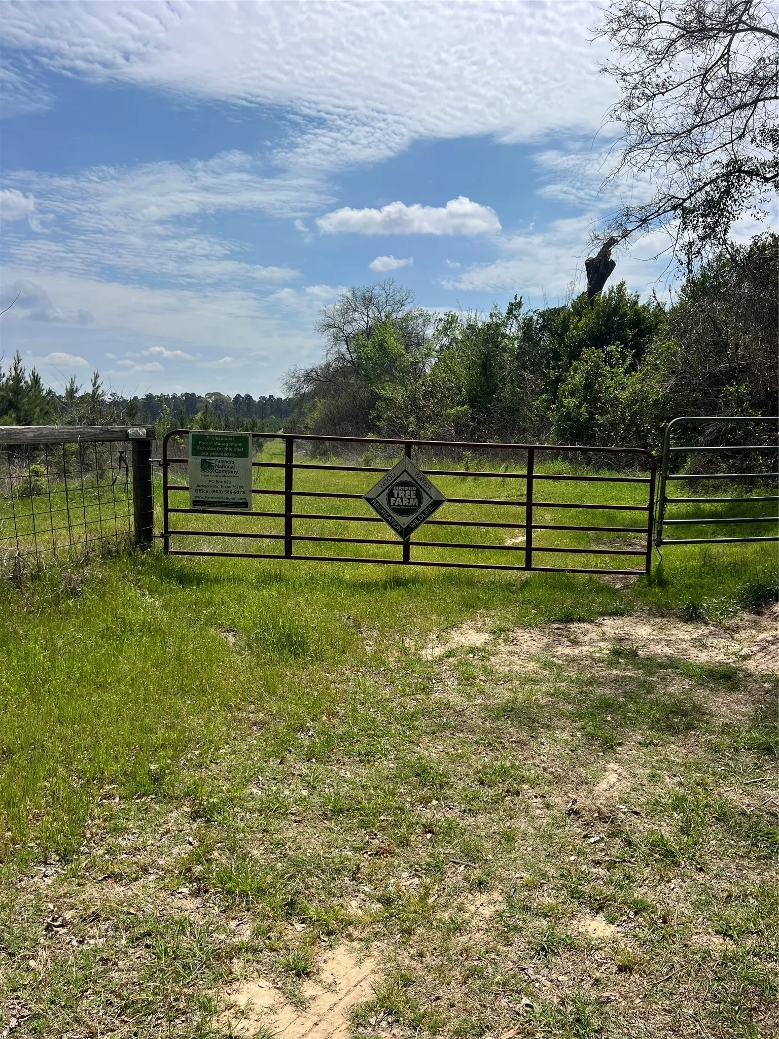 Unimproved Land For Sale in Cherokee County , 0 CR 3908, Jacksonville, Texas 75766, 0, 0, Garage spaces, 0 Sqft, built in 0, Price $819,000, mls#21219076, Real Estate Agent in Jacksonville, Homes For Sale in Cherokee county, Homes For Sale in Jacksonville, Realtor in Jacksonville Texas, Real Estate Brokerage Independent Realty Texas, Luminita Cordes Realtor