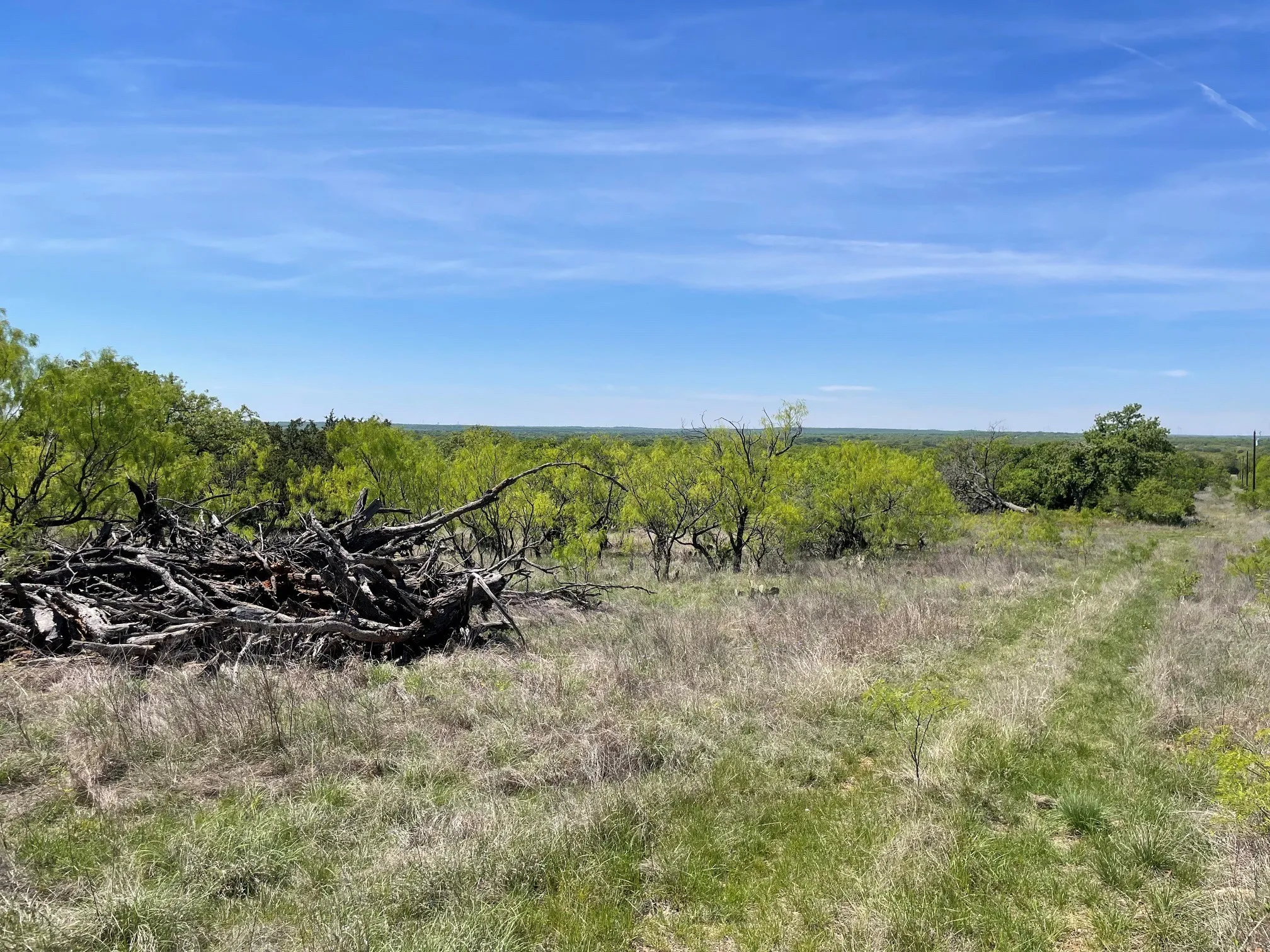 View of undeveloped land featuring rural landscape