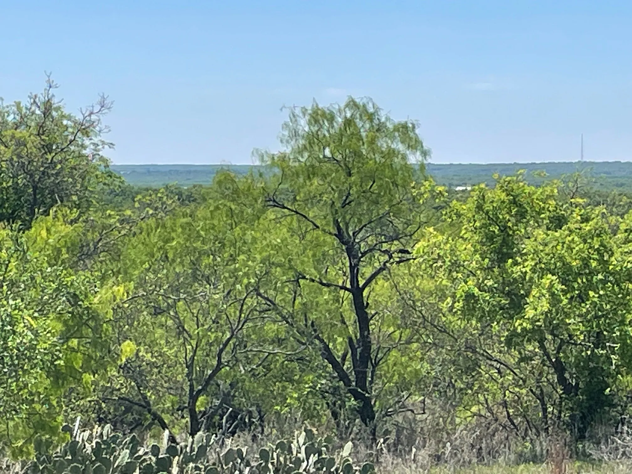 Unimproved Land For Sale in Eastland County , TBD County Road, Eastland, Texas 76448, 0, 0, Garage spaces, 0 Sqft, built in 0, mls#21216907, Real Estate Agent in Eastland, Homes For Sale in Eastland county, Homes For Sale in Eastland, Realtor in Eastland Texas, Real Estate Brokerage Independent Realty Texas, Luminita Cordes Realtor