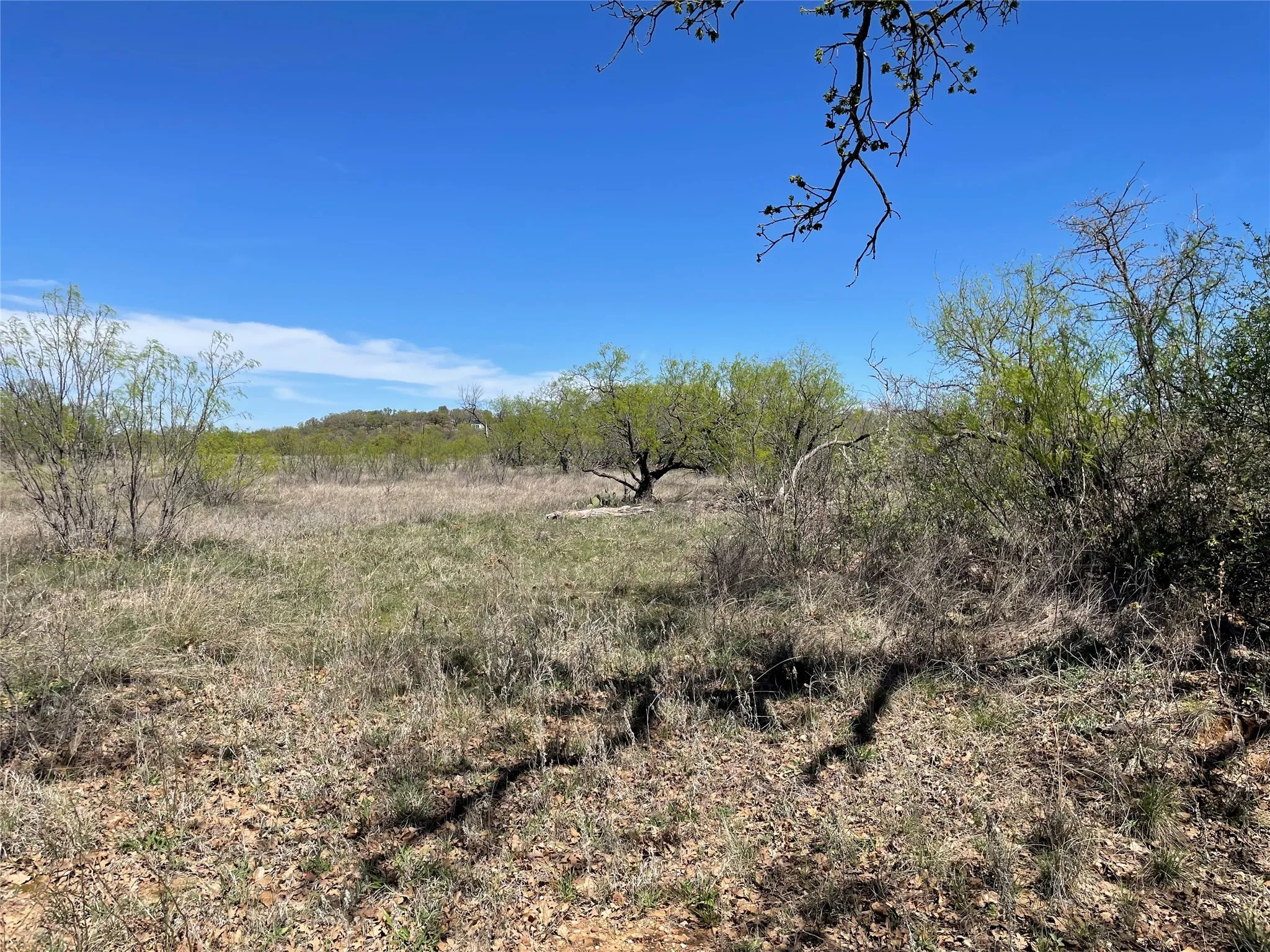 View of local wilderness with rural landscape