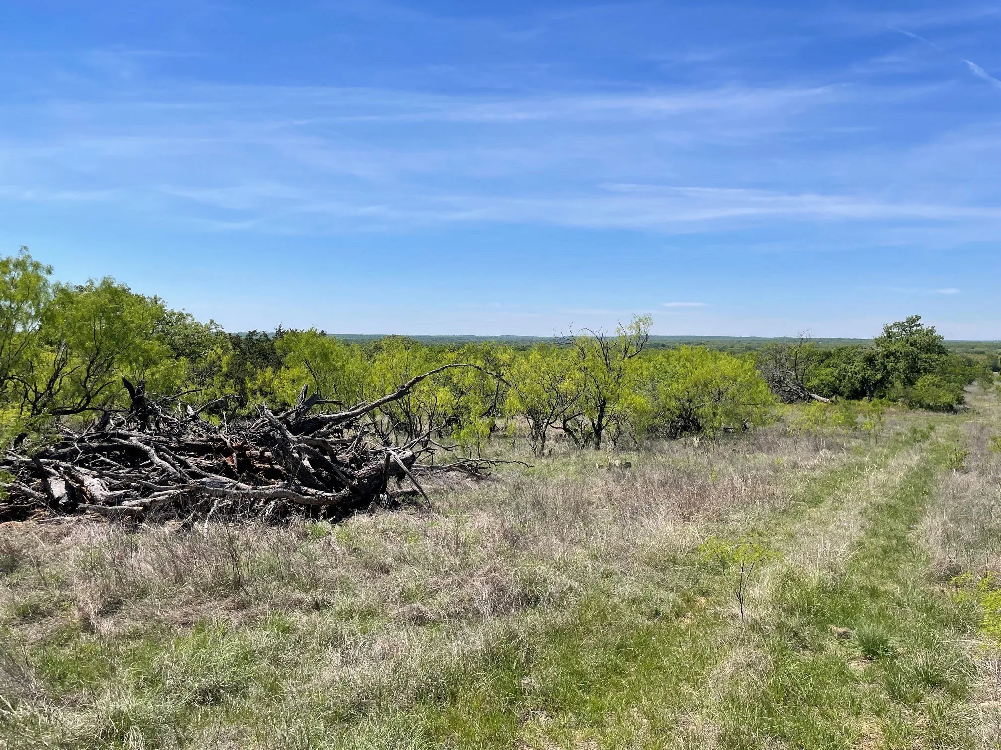 View of local wilderness with rural landscape