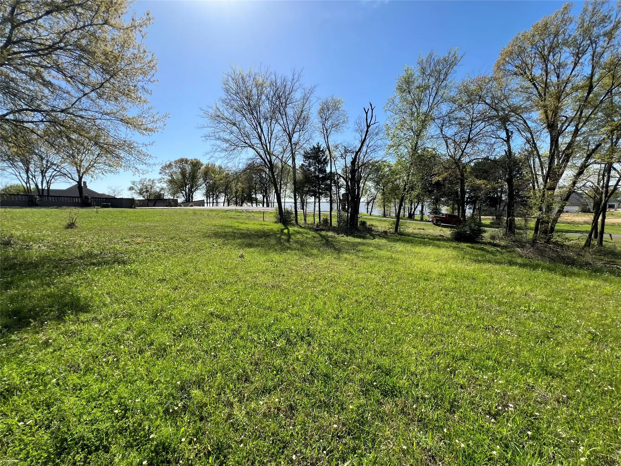 View of grassy yard