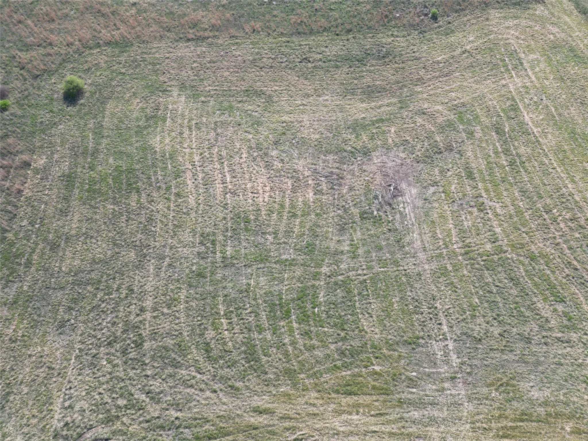 Unimproved Land For Sale in Comanche County , TBD TBD CR 438, Dublin, Texas 76446, 0, 0, Garage spaces, 0 Sqft, built in 0, Price $85,000, mls#21219633, Real Estate Agent in Dublin, Homes For Sale in Comanche county, Homes For Sale in Dublin, Realtor in Dublin Texas, Real Estate Brokerage Independent Realty Texas, Luminita Cordes Realtor
