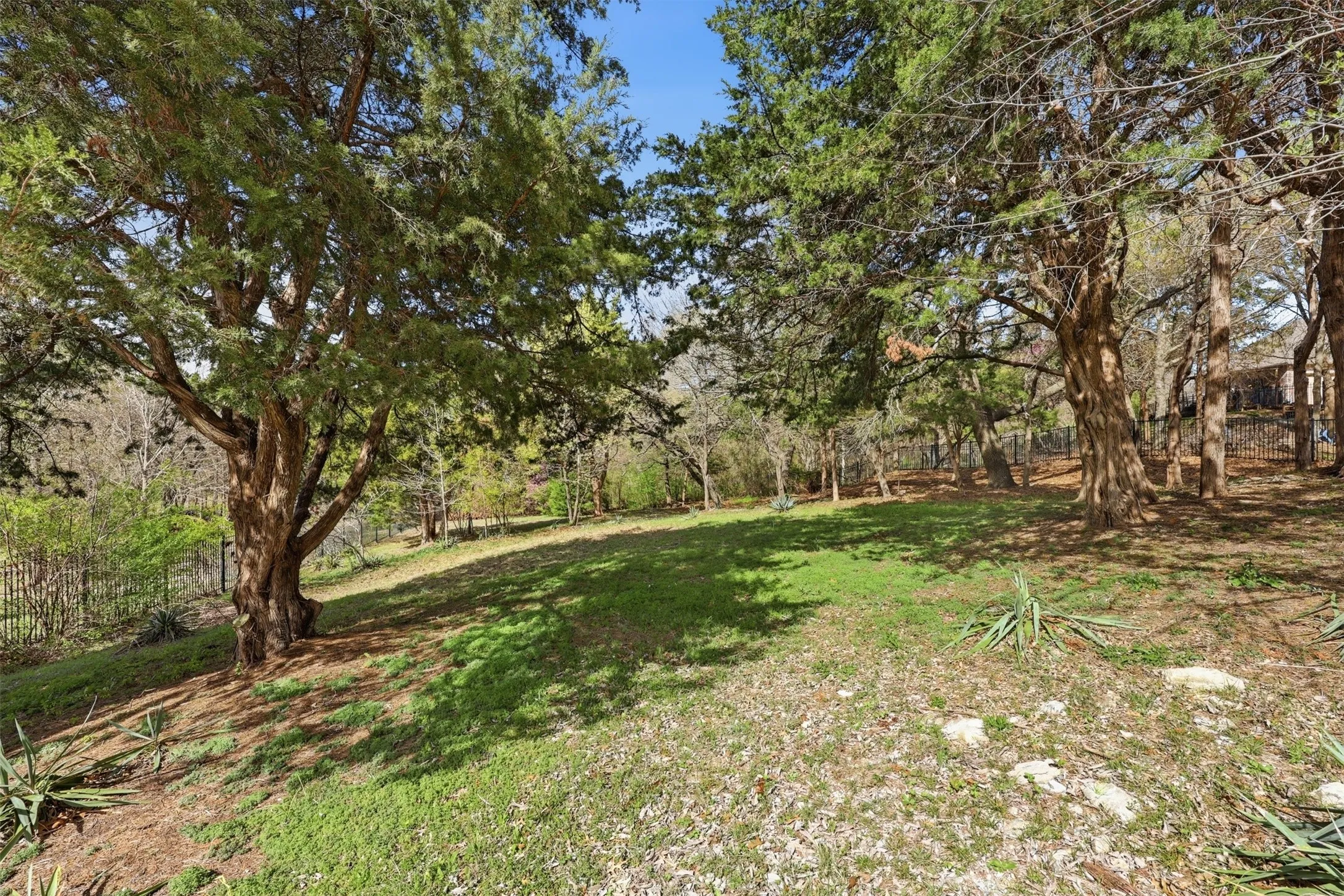 Back of property leading down to the creek