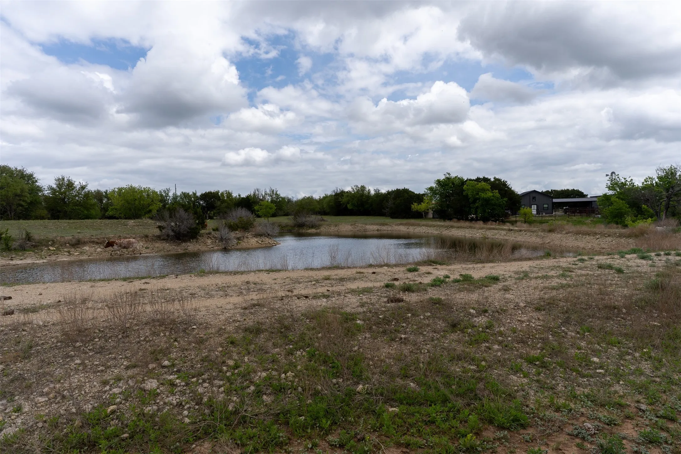 Farm For Sale in Bosque County , 377 County Road 2530, Meridian, Texas 76665, 3 Bedroom, 2 Bathroom, Garage spaces, 1,511 Sqft, built in 1985, mls#21219527, Real Estate Agent in Meridian, Homes For Sale in Bosque county, Homes For Sale in Meridian, Realtor in Meridian Texas, Real Estate Brokerage Independent Realty Texas, Luminita Cordes Realtor