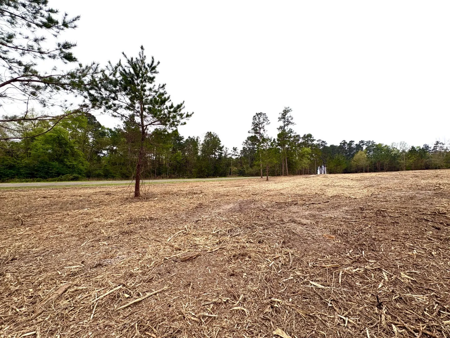 Unimproved Land For Sale in Shelby County , TBD FM 711, Center, Texas 75935, 0, 0, Garage spaces, 0 Sqft, built in 0, Price $275,000, mls#21219779, Real Estate Agent in Center, Homes For Sale in Shelby county, Homes For Sale in Center, Realtor in Center Texas, Real Estate Brokerage Independent Realty Texas, Luminita Cordes Realtor