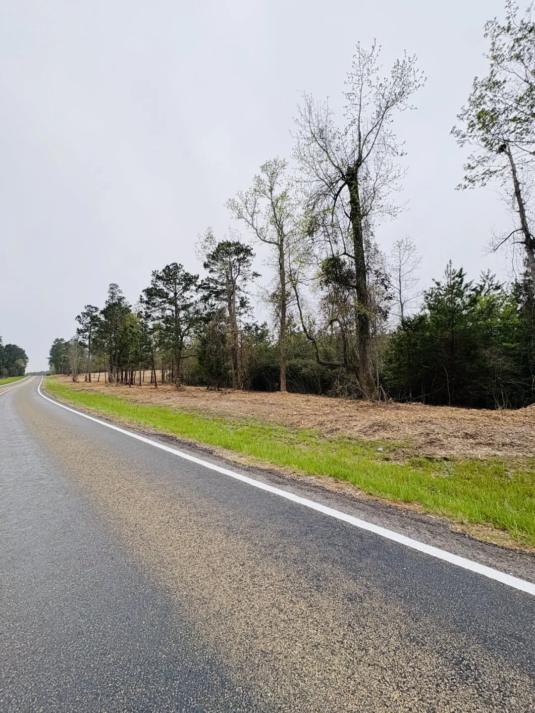 Unimproved Land For Sale in Shelby County , TBD FM 711, Center, Texas 75935, 0, 0, Garage spaces, 0 Sqft, built in 0, Price $275,000, mls#21219779, Real Estate Agent in Center, Homes For Sale in Shelby county, Homes For Sale in Center, Realtor in Center Texas, Real Estate Brokerage Independent Realty Texas, Luminita Cordes Realtor