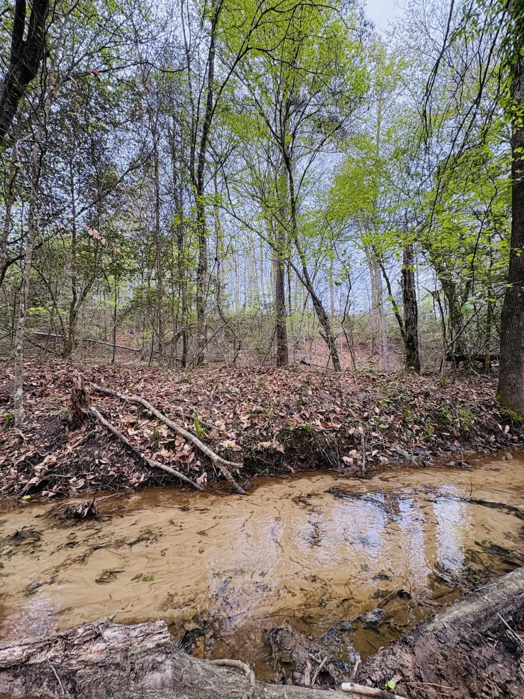 Unimproved Land For Sale in Shelby County , TBD FM 711, Center, Texas 75935, 0, 0, Garage spaces, 0 Sqft, built in 0, Price $275,000, mls#21219779, Real Estate Agent in Center, Homes For Sale in Shelby county, Homes For Sale in Center, Realtor in Center Texas, Real Estate Brokerage Independent Realty Texas, Luminita Cordes Realtor