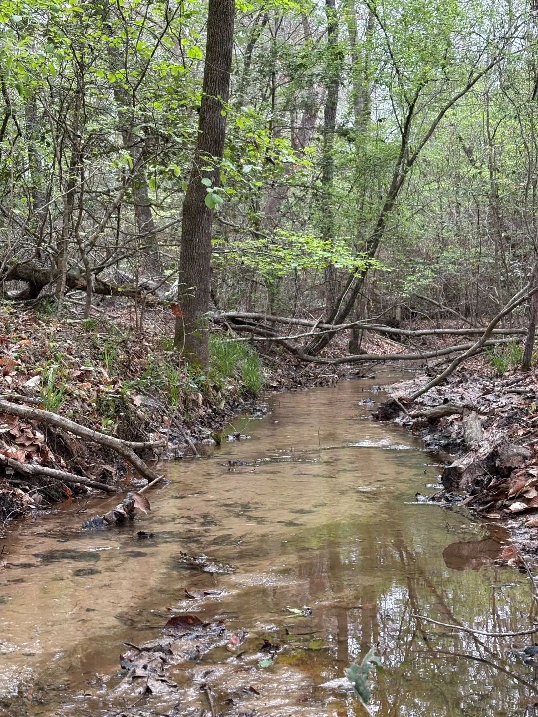 Unimproved Land For Sale in Shelby County , TBD FM 711, Center, Texas 75935, 0, 0, Garage spaces, 0 Sqft, built in 0, Price $275,000, mls#21219779, Real Estate Agent in Center, Homes For Sale in Shelby county, Homes For Sale in Center, Realtor in Center Texas, Real Estate Brokerage Independent Realty Texas, Luminita Cordes Realtor