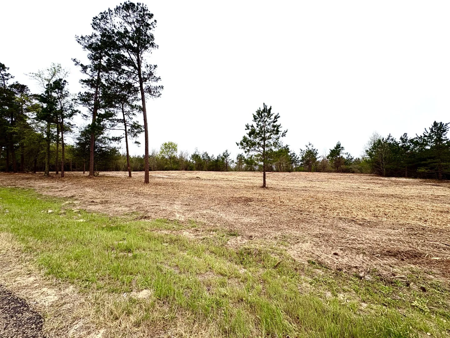 Unimproved Land For Sale in Shelby County , TBD FM 711, Center, Texas 75935, 0, 0, Garage spaces, 0 Sqft, built in 0, Price $275,000, mls#21219779, Real Estate Agent in Center, Homes For Sale in Shelby county, Homes For Sale in Center, Realtor in Center Texas, Real Estate Brokerage Independent Realty Texas, Luminita Cordes Realtor