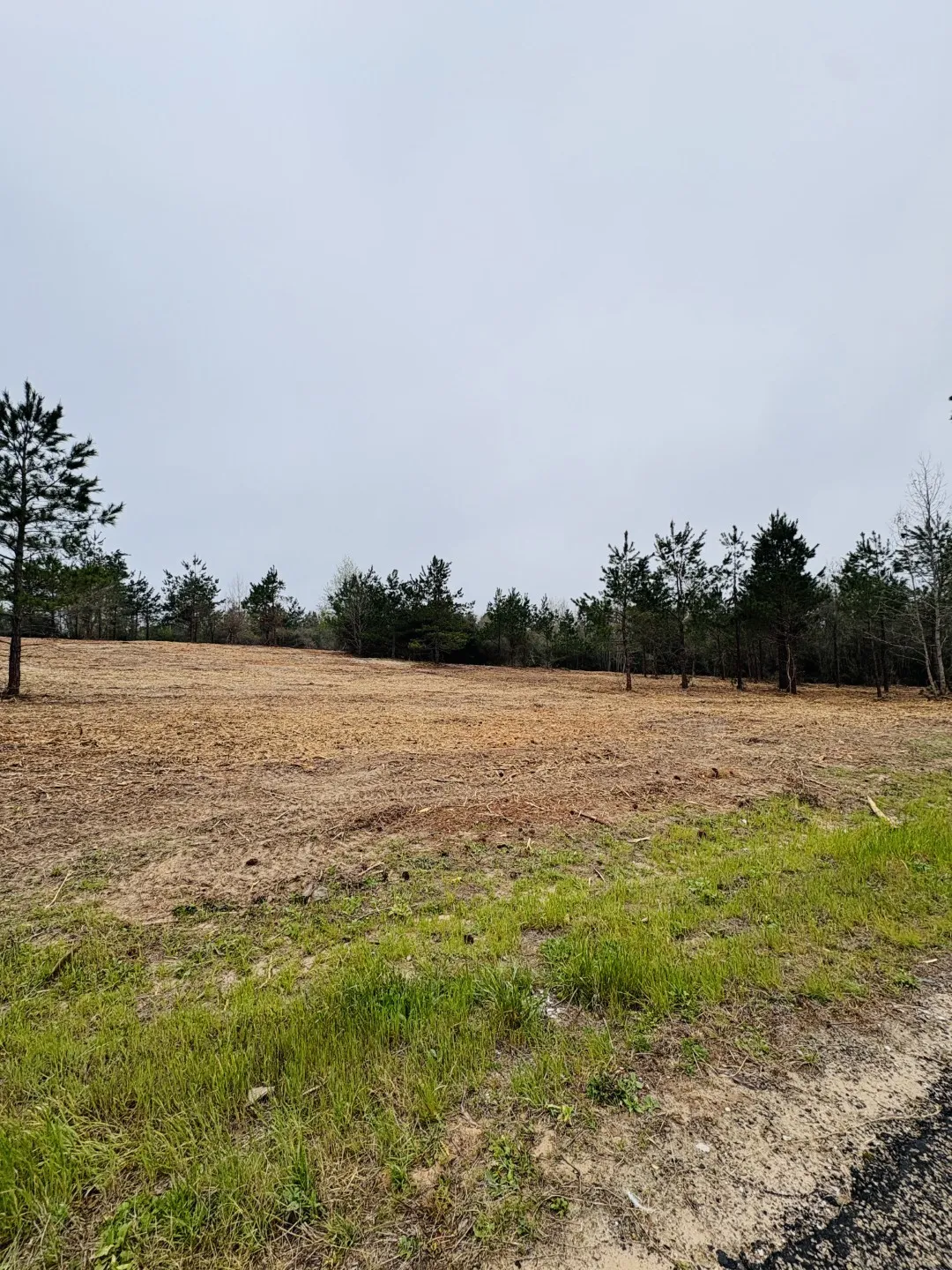 Unimproved Land For Sale in Shelby County , TBD FM 711, Center, Texas 75935, 0, 0, Garage spaces, 0 Sqft, built in 0, Price $275,000, mls#21219779, Real Estate Agent in Center, Homes For Sale in Shelby county, Homes For Sale in Center, Realtor in Center Texas, Real Estate Brokerage Independent Realty Texas, Luminita Cordes Realtor