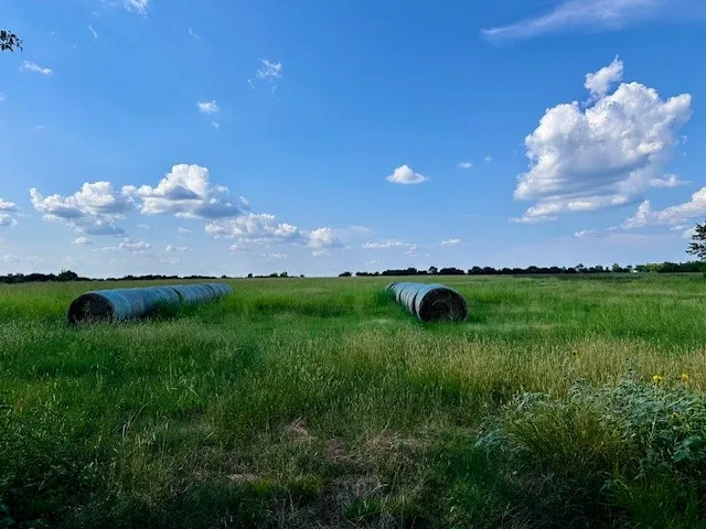 Unimproved Land For Sale in Fannin County , TBD 11ac CR 4805, Bailey, Texas 75413, 0, 0, Garage spaces, 0 Sqft, built in 0, Price $302,500, mls#21218077, Real Estate Agent in Bailey, Homes For Sale in Fannin county, Homes For Sale in Bailey, Realtor in Bailey Texas, Real Estate Brokerage Independent Realty Texas, Luminita Cordes Realtor