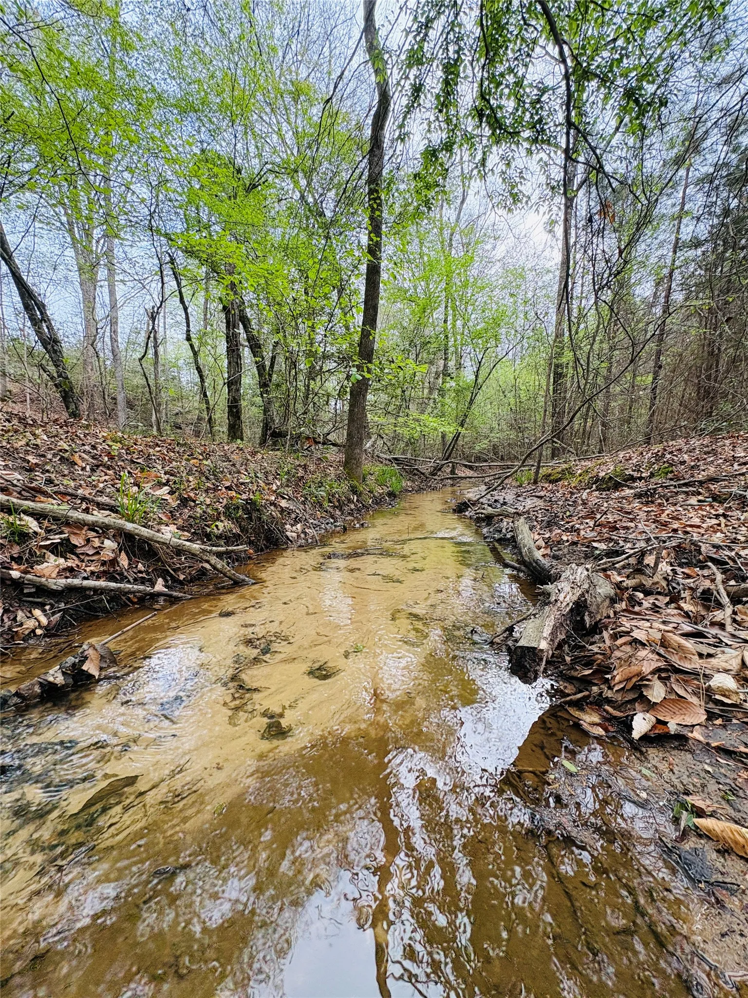 Unimproved Land For Sale in Shelby County , TBD (Tract A) FM 711, Center, Texas 75935, 0, 0, Garage spaces, 0 Sqft, built in 0, Price $145,000, mls#21219951, Real Estate Agent in Center, Homes For Sale in Shelby county, Homes For Sale in Center, Realtor in Center Texas, Real Estate Brokerage Independent Realty Texas, Luminita Cordes Realtor