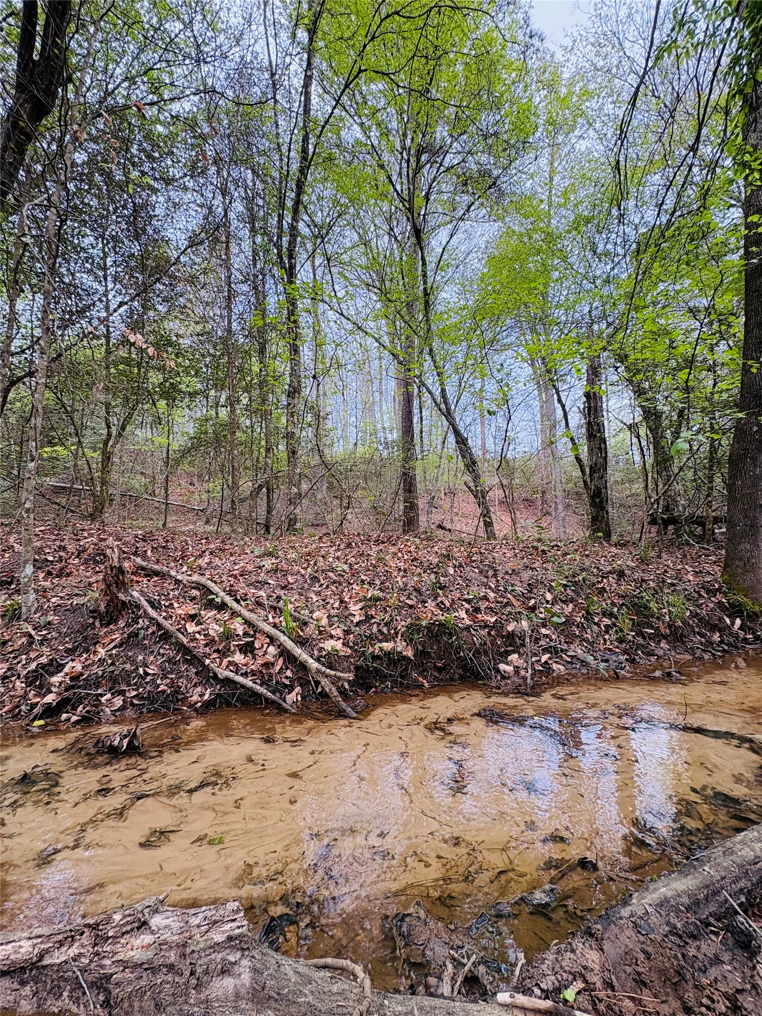 Unimproved Land For Sale in Shelby County , TBD (Tract A) FM 711, Center, Texas 75935, 0, 0, Garage spaces, 0 Sqft, built in 0, Price $145,000, mls#21219951, Real Estate Agent in Center, Homes For Sale in Shelby county, Homes For Sale in Center, Realtor in Center Texas, Real Estate Brokerage Independent Realty Texas, Luminita Cordes Realtor