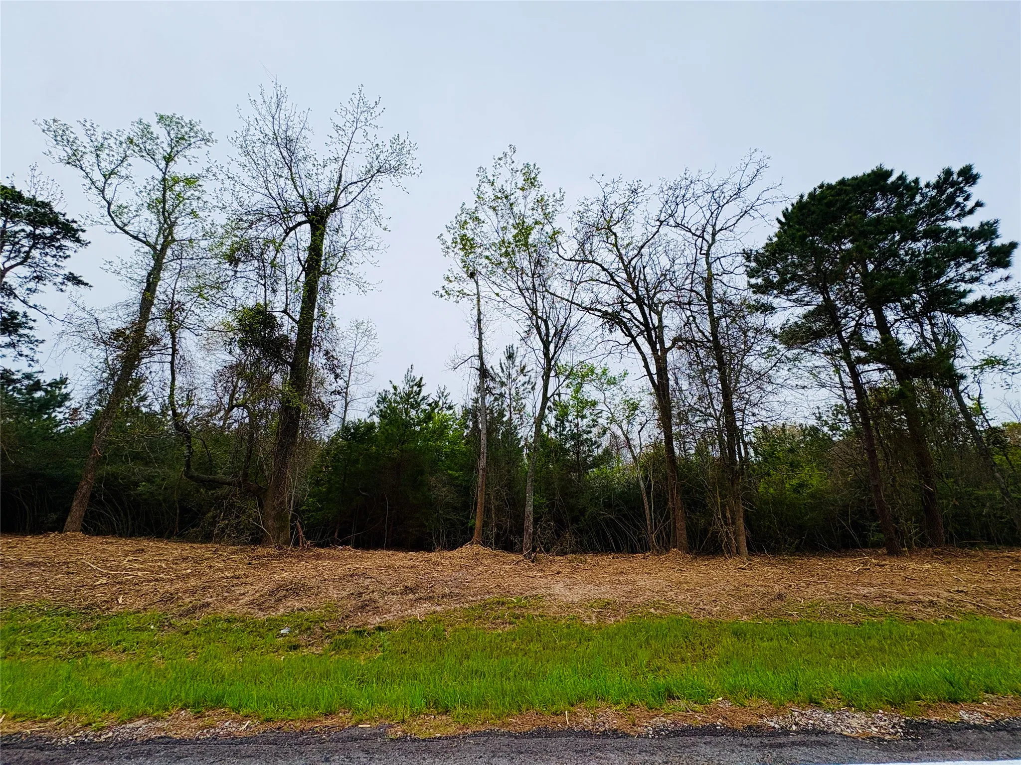 Unimproved Land For Sale in Shelby County , TBD (Tract A) FM 711, Center, Texas 75935, 0, 0, Garage spaces, 0 Sqft, built in 0, Price $145,000, mls#21219951, Real Estate Agent in Center, Homes For Sale in Shelby county, Homes For Sale in Center, Realtor in Center Texas, Real Estate Brokerage Independent Realty Texas, Luminita Cordes Realtor