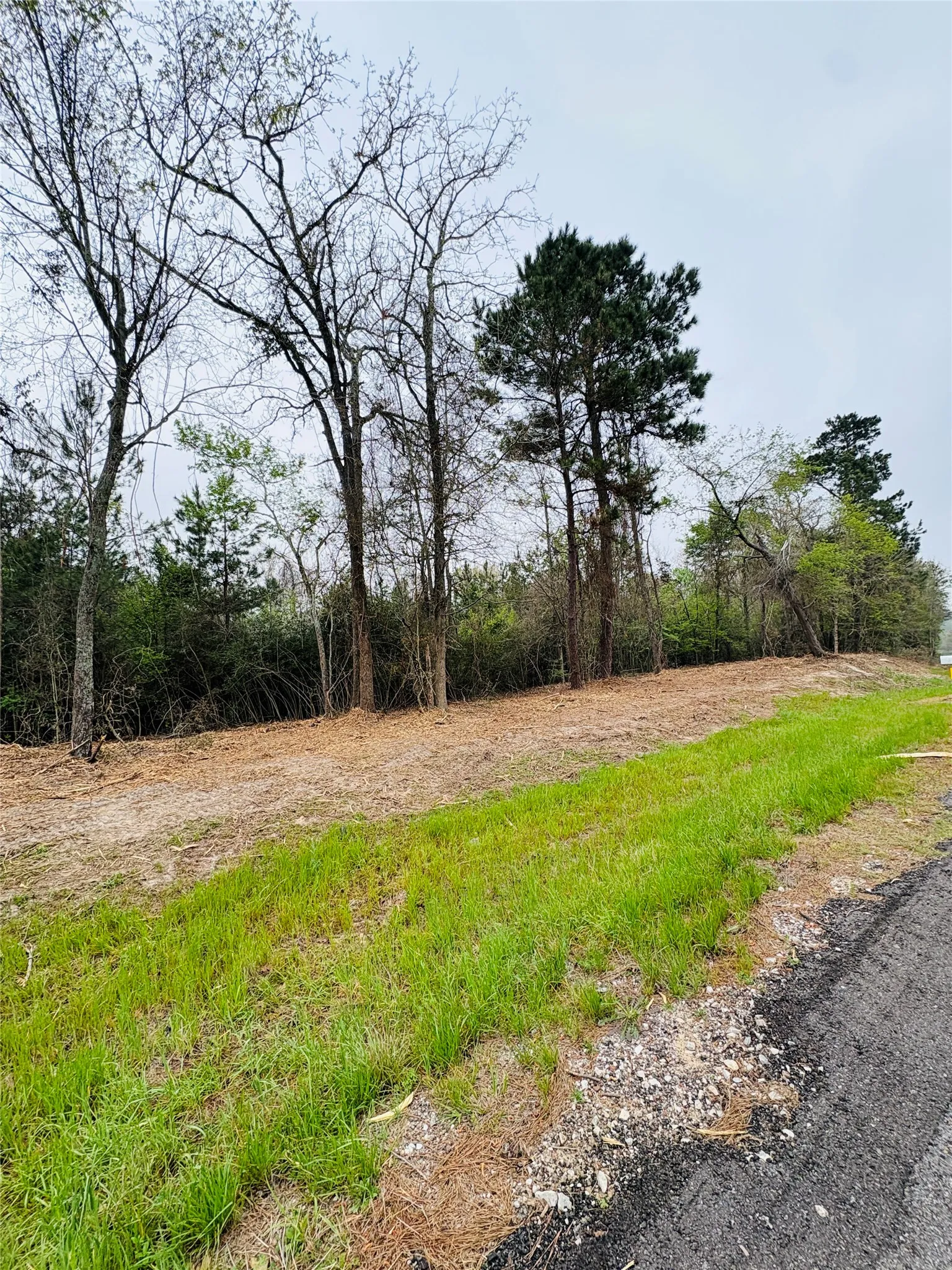 Unimproved Land For Sale in Shelby County , TBD (Tract A) FM 711, Center, Texas 75935, 0, 0, Garage spaces, 0 Sqft, built in 0, Price $145,000, mls#21219951, Real Estate Agent in Center, Homes For Sale in Shelby county, Homes For Sale in Center, Realtor in Center Texas, Real Estate Brokerage Independent Realty Texas, Luminita Cordes Realtor
