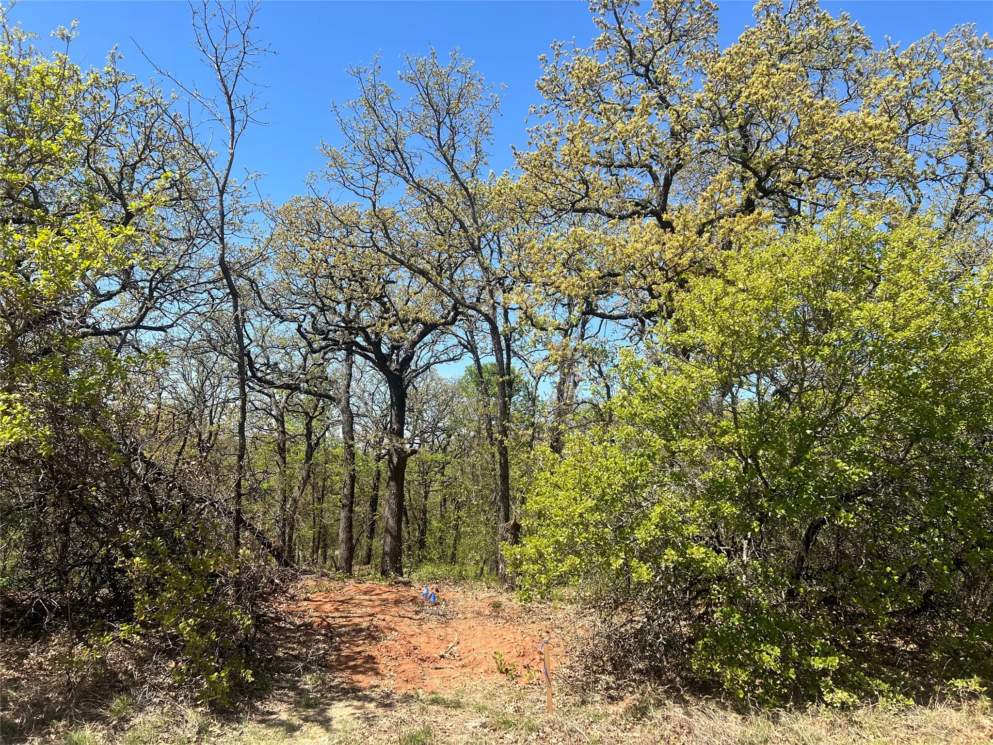 Unimproved Land For Sale in Johnson County , 1000 Crazy Horse Trail, Burleson, Texas 76028, 0, 0, Garage spaces, 0 Sqft, built in 0, mls#21216961, Real Estate Agent in Burleson, Homes For Sale in Johnson county, Homes For Sale in Burleson, Realtor in Burleson Texas, Real Estate Brokerage Independent Realty Texas, Luminita Cordes Realtor