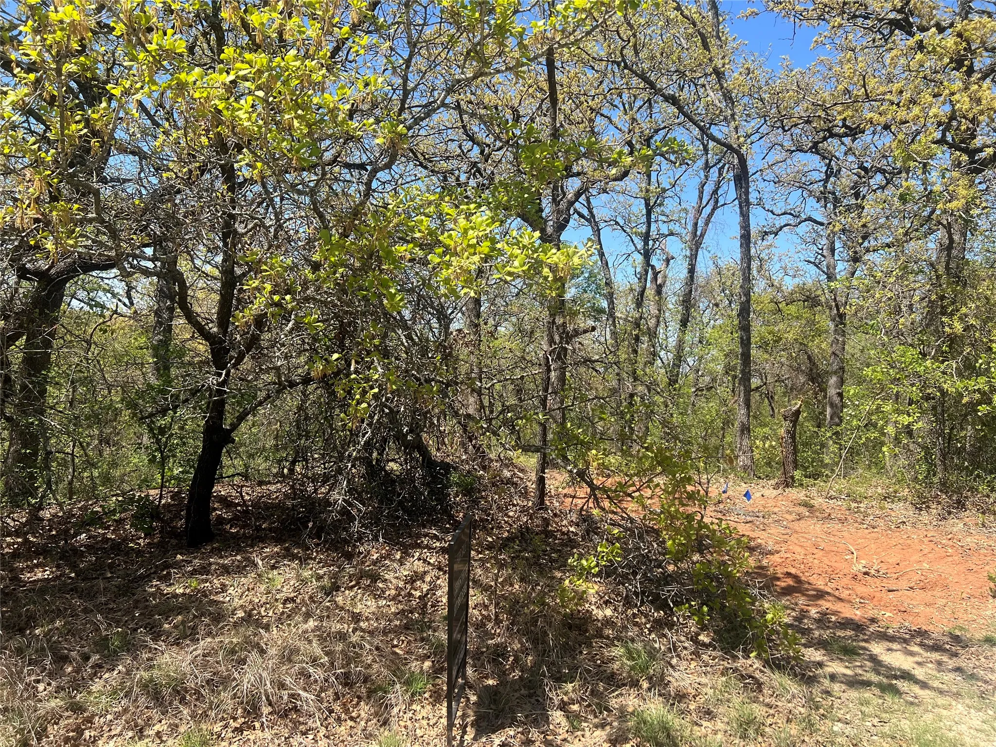 Unimproved Land For Sale in Johnson County , 1000 Crazy Horse Trail, Burleson, Texas 76028, 0, 0, Garage spaces, 0 Sqft, built in 0, mls#21216961, Real Estate Agent in Burleson, Homes For Sale in Johnson county, Homes For Sale in Burleson, Realtor in Burleson Texas, Real Estate Brokerage Independent Realty Texas, Luminita Cordes Realtor