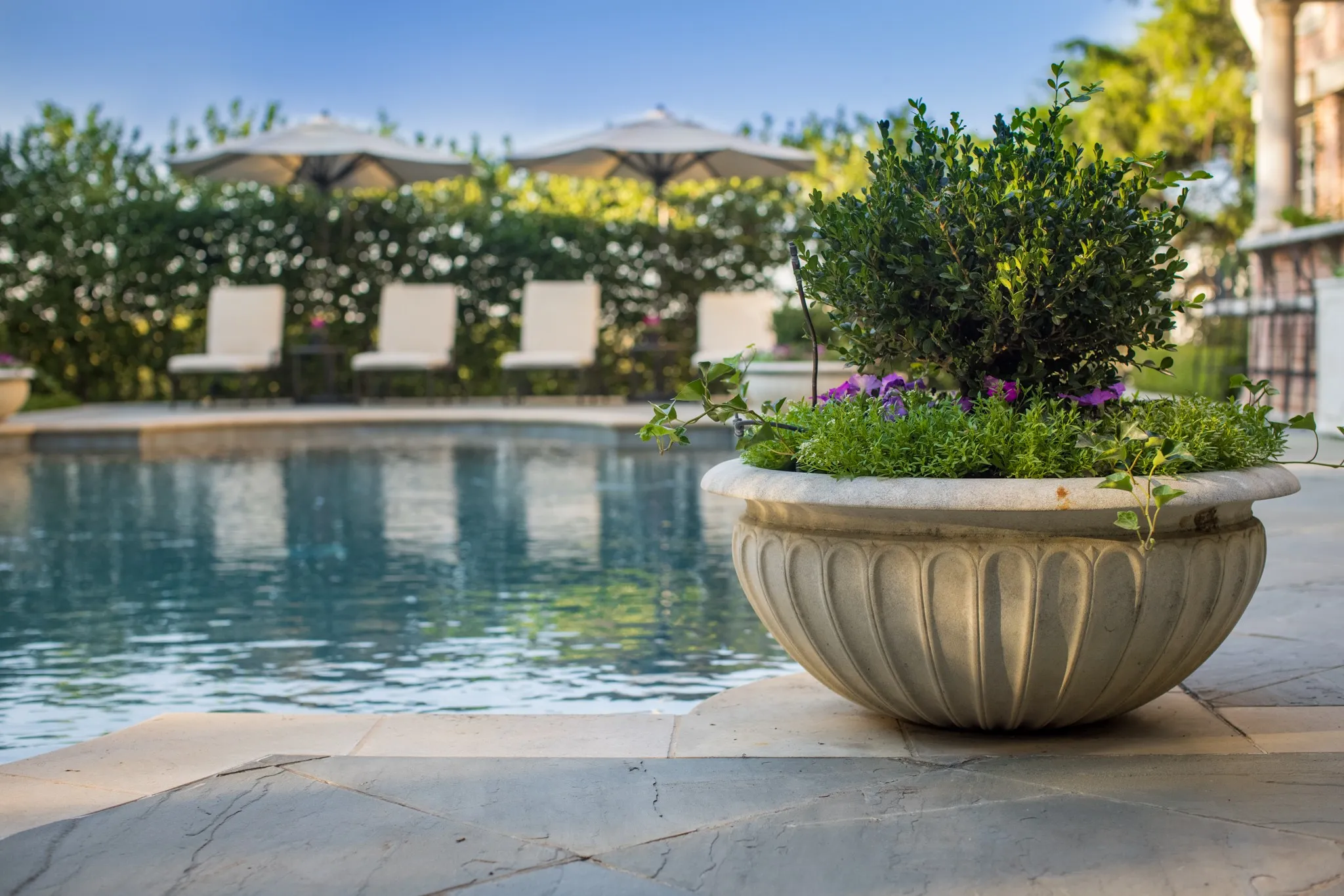 Heated or Chilled Pool
