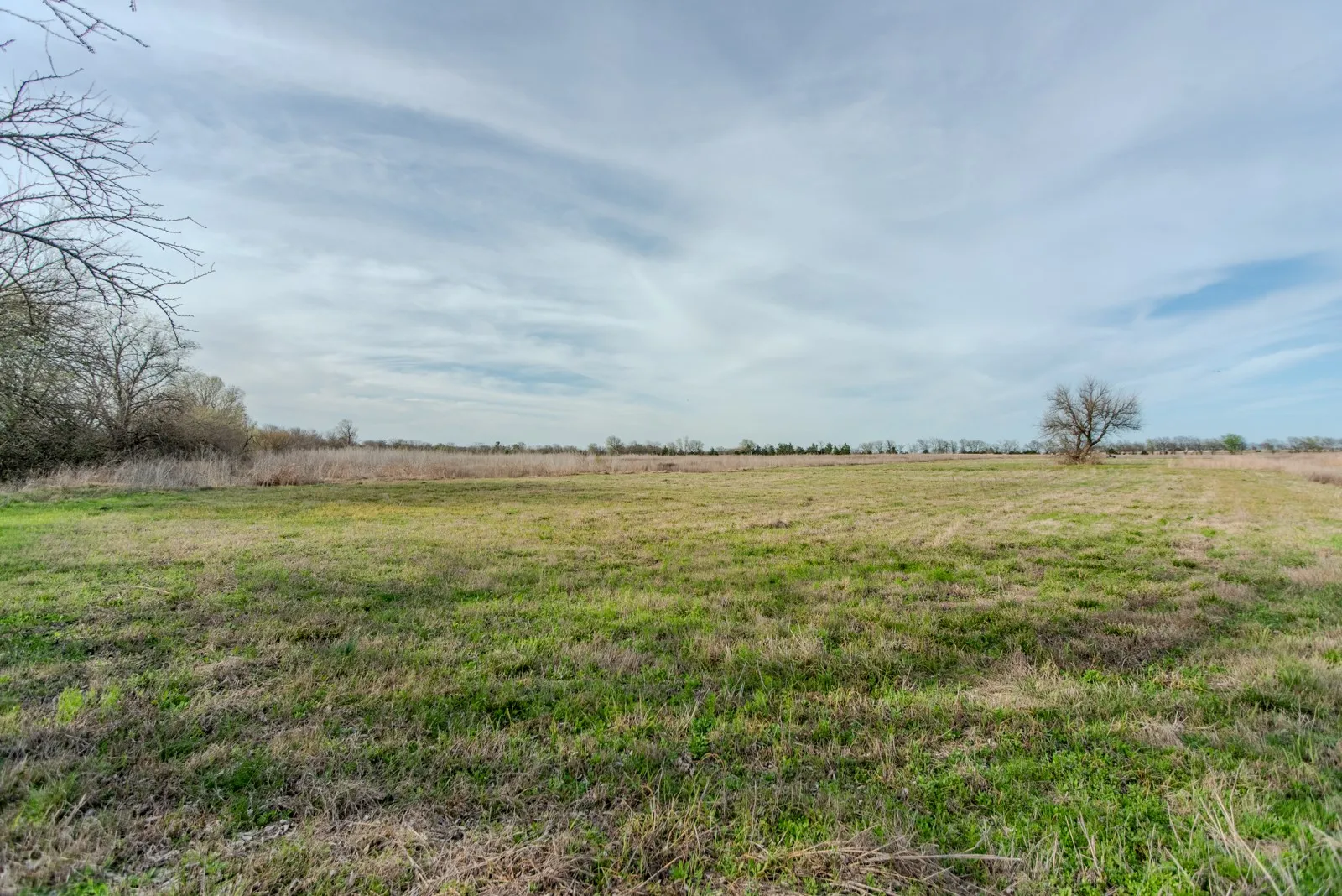 Unimproved Land For Sale in Delta County , Lot 39 FM 904 S, Pecan Gap, Texas 75469, 0, 0, Garage spaces, 0 Sqft, built in 0, Price $110,000, mls#21207249, Real Estate Agent in Pecan Gap, Homes For Sale in Delta county, Homes For Sale in Pecan Gap, Realtor in Pecan Gap Texas, Real Estate Brokerage Independent Realty Texas, Luminita Cordes Realtor