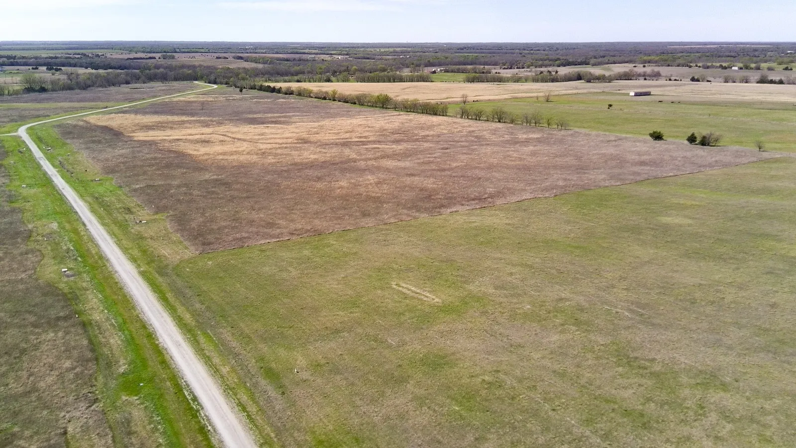 Unimproved Land For Sale in Delta County , Lot 39 FM 904 S, Pecan Gap, Texas 75469, 0, 0, Garage spaces, 0 Sqft, built in 0, Price $110,000, mls#21207249, Real Estate Agent in Pecan Gap, Homes For Sale in Delta county, Homes For Sale in Pecan Gap, Realtor in Pecan Gap Texas, Real Estate Brokerage Independent Realty Texas, Luminita Cordes Realtor