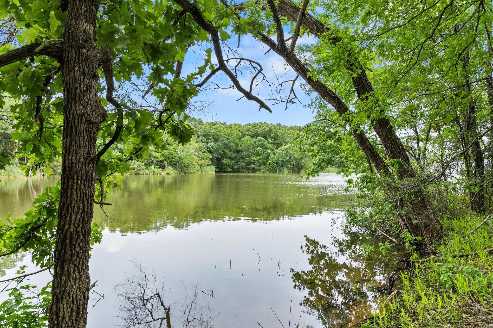 Unimproved Land For Sale in Fannin County , 0000 CR 2680, Bonham, Texas 75418, 0, 0, Garage spaces, 0 Sqft, built in 0, Price $774,111, mls#21220113, Real Estate Agent in Bonham, Homes For Sale in Fannin county, Homes For Sale in Bonham, Realtor in Bonham Texas, Real Estate Brokerage Independent Realty Texas, Luminita Cordes Realtor