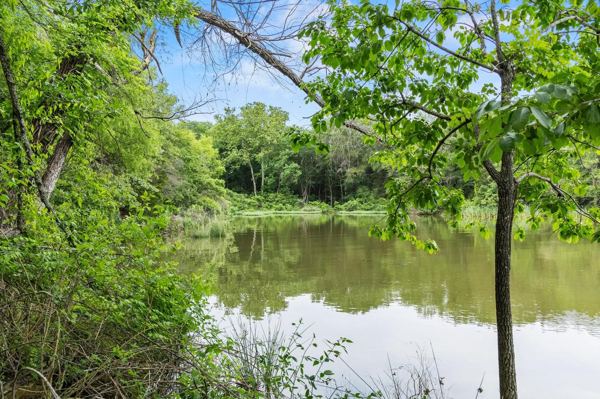 Unimproved Land For Sale in Fannin County , 0000 CR 2680, Bonham, Texas 75418, 0, 0, Garage spaces, 0 Sqft, built in 0, Price $774,111, mls#21220113, Real Estate Agent in Bonham, Homes For Sale in Fannin county, Homes For Sale in Bonham, Realtor in Bonham Texas, Real Estate Brokerage Independent Realty Texas, Luminita Cordes Realtor