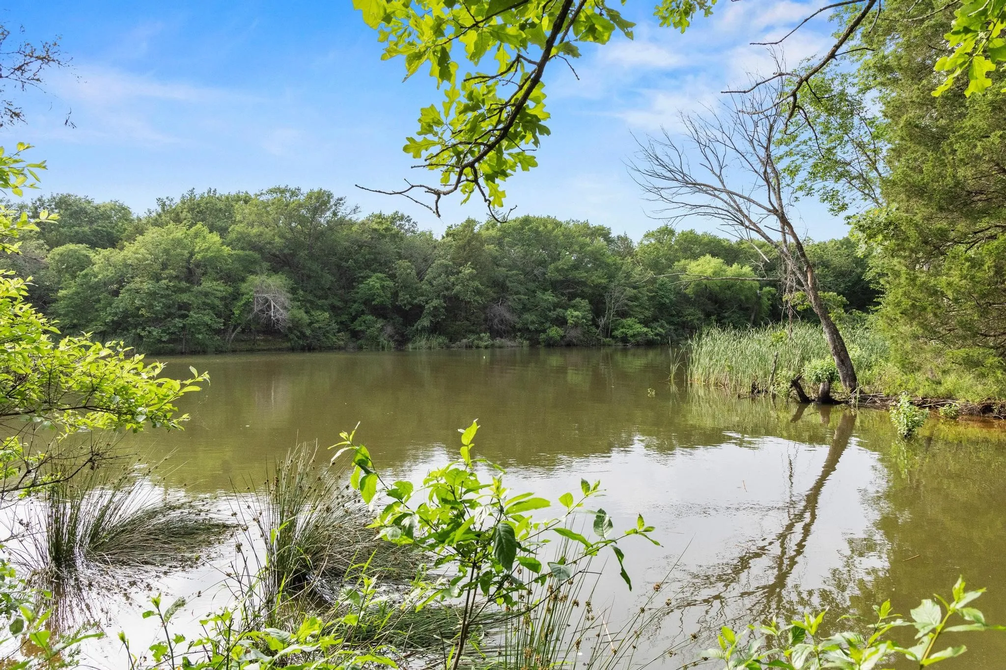 Unimproved Land For Sale in Fannin County , 0000 CR 2680, Bonham, Texas 75418, 0, 0, Garage spaces, 0 Sqft, built in 0, Price $774,111, mls#21220113, Real Estate Agent in Bonham, Homes For Sale in Fannin county, Homes For Sale in Bonham, Realtor in Bonham Texas, Real Estate Brokerage Independent Realty Texas, Luminita Cordes Realtor